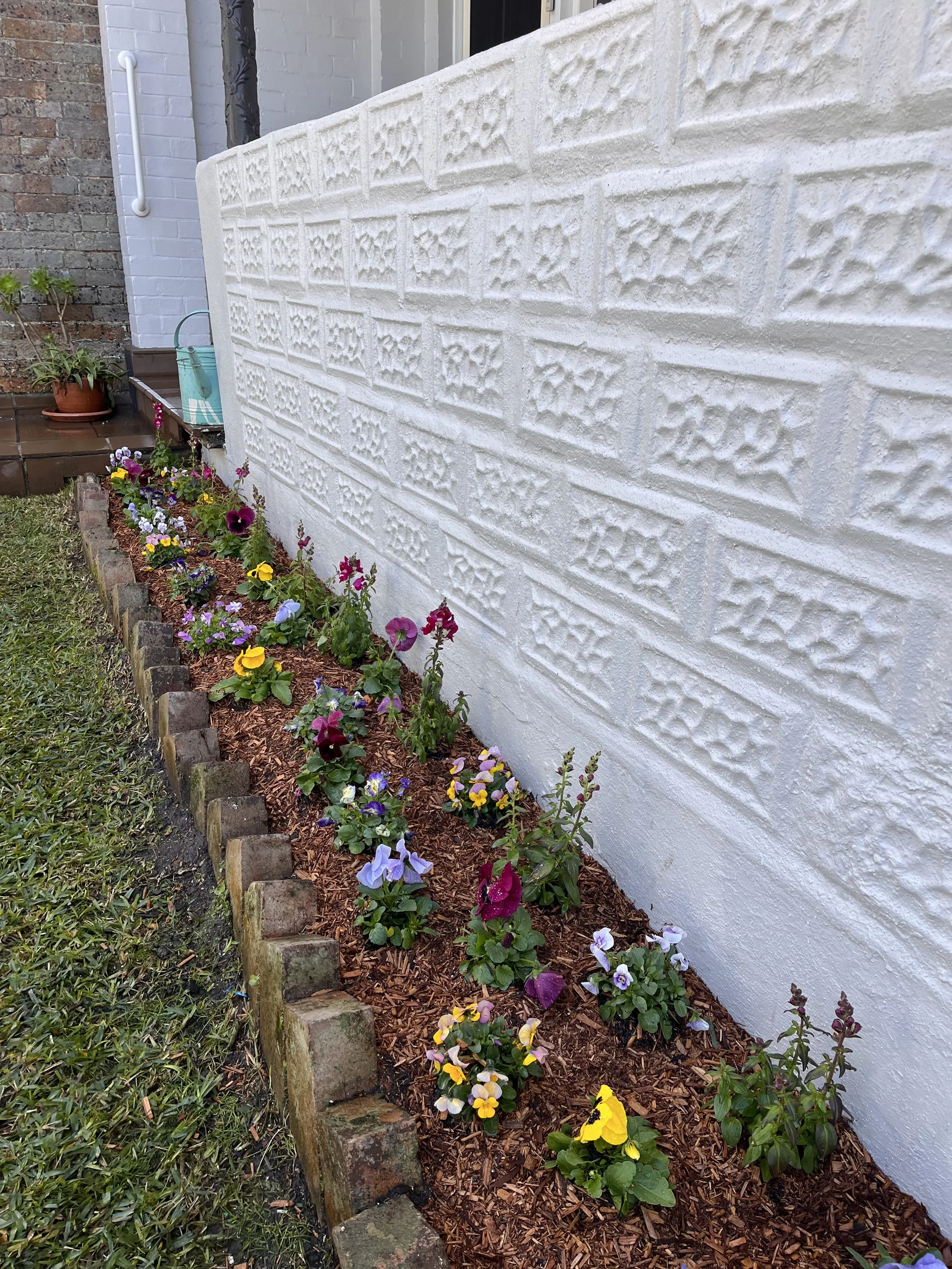 A flower bed with colorful pansies along a brick border, next to a white textured exterior wall of a building. There are a couple of potted plants and gardening items in the background.