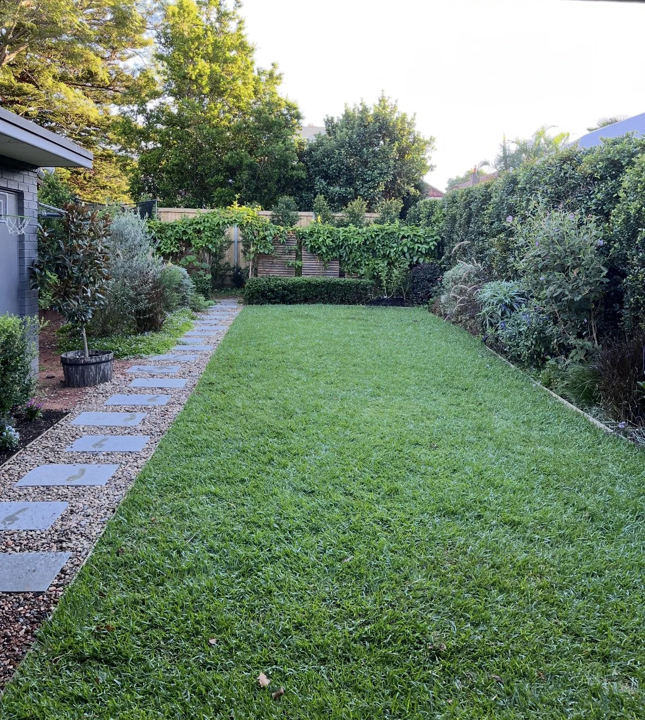 A backyard with a manicured lawn, a stone pathway on the left, and various bushes and trees along the edges. There is a wooden fence and large trees in the background.
