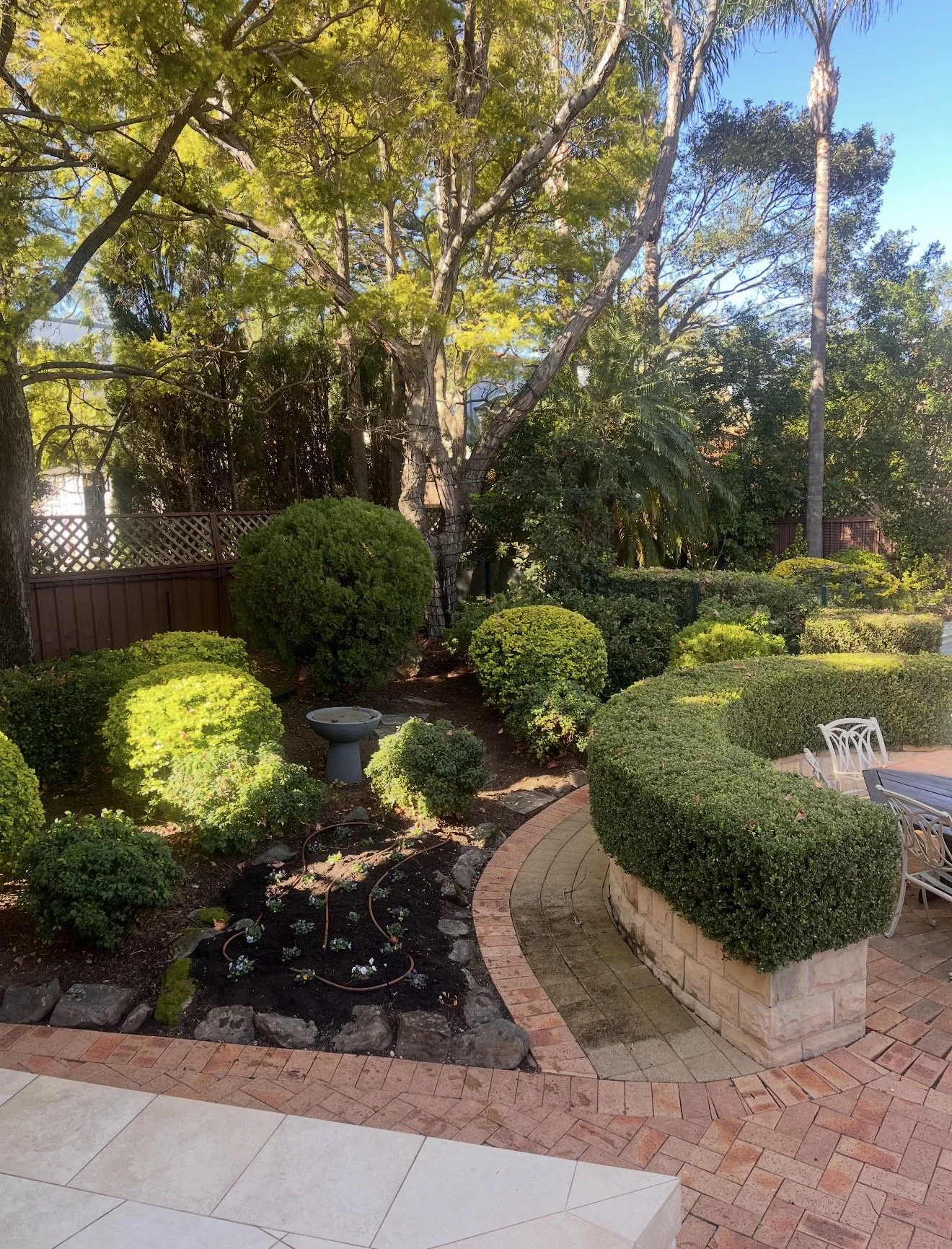 Backyard garden with trimmed bushes, trees, and a brick-paved patio with white chairs and a stone planter.