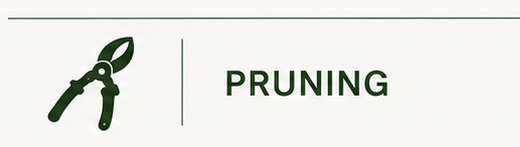 Icon of pruning shears next to the word 'Pruning'