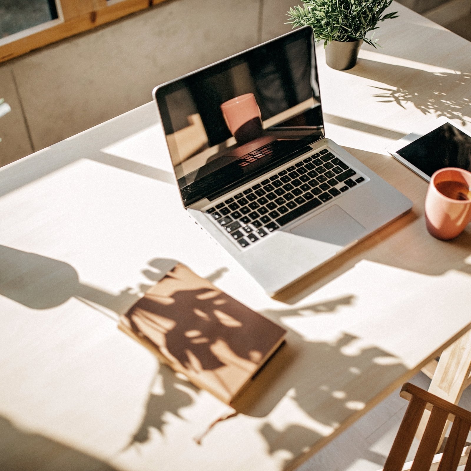A laptop, a smartphone, a pink mug with coffee, and a potted plant on a white table with shadows cast from sunlight.