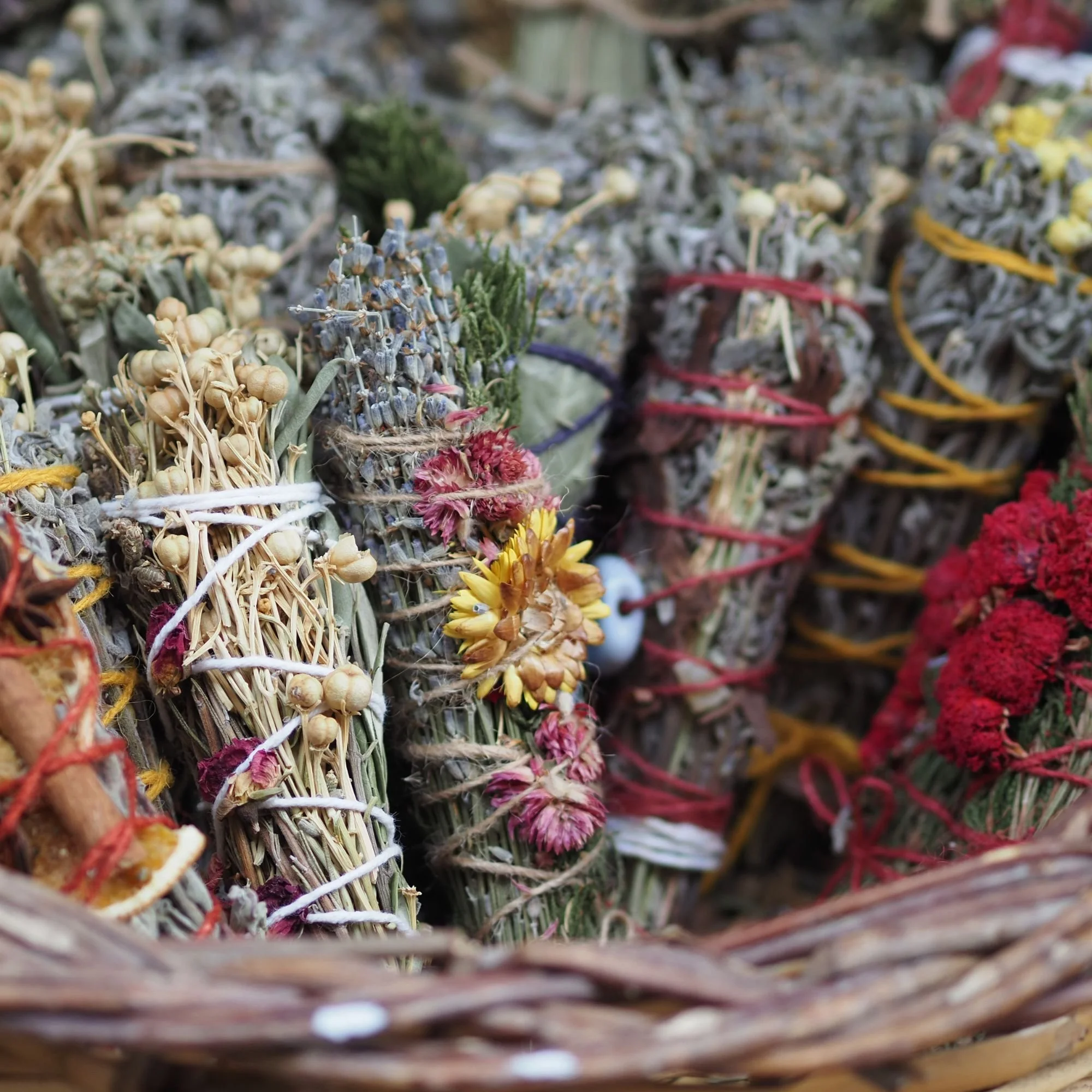 Close-up of bundled dried herbs and flowers tied with colorful string, arranged in rows.