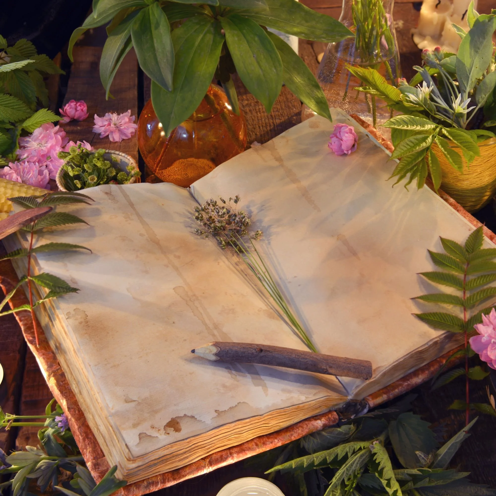 A flat open book with a blank page, surrounded by pink flowers and green foliage, on a wooden table.