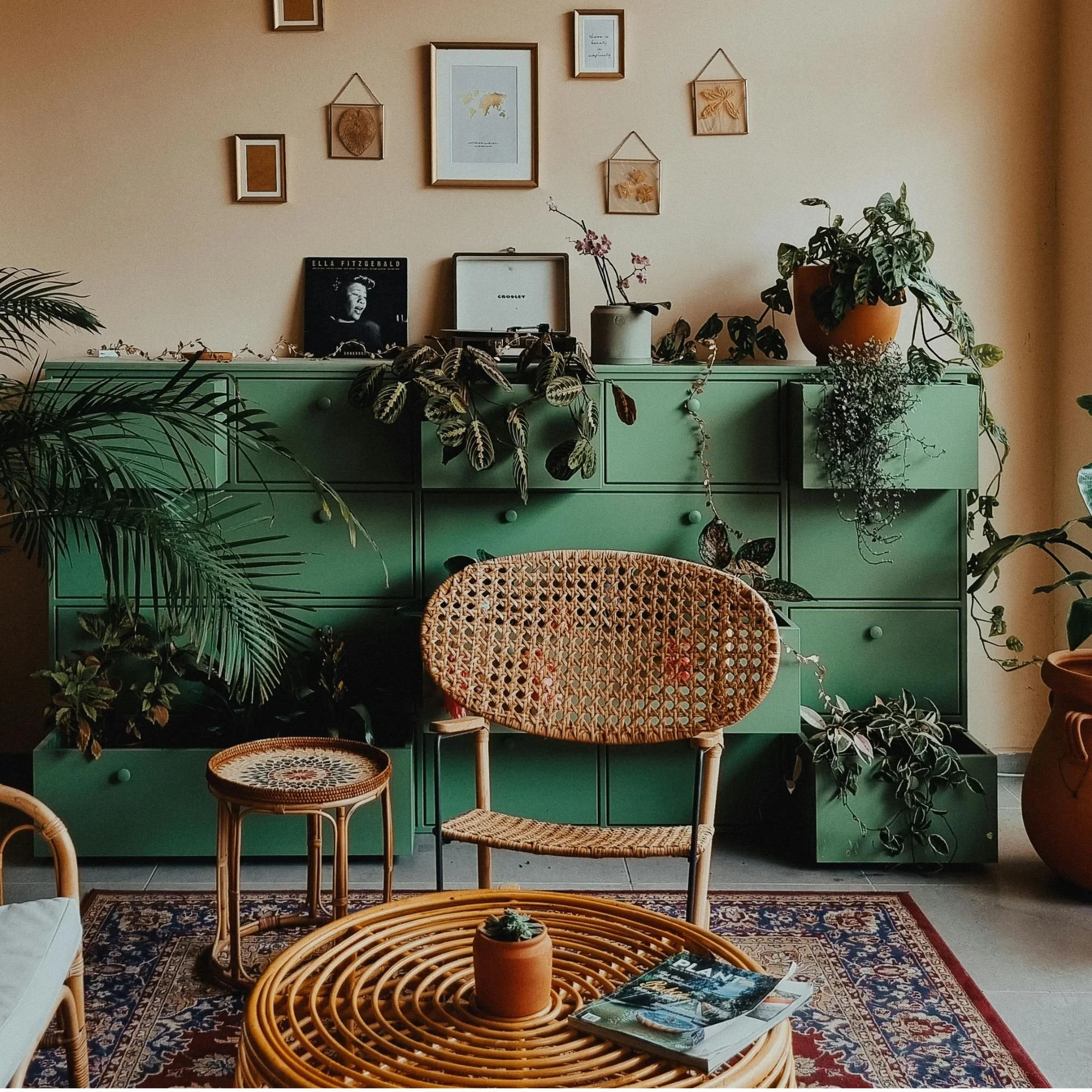 A green cabinet with two wicker chairs, one placed in front and one to the side. On the cabinet, there are plants, a record player and a few books. On the wall above, there are framed pictures, and hanging decorations, along with a large potted plant on the right. The floor has a patterned rug.