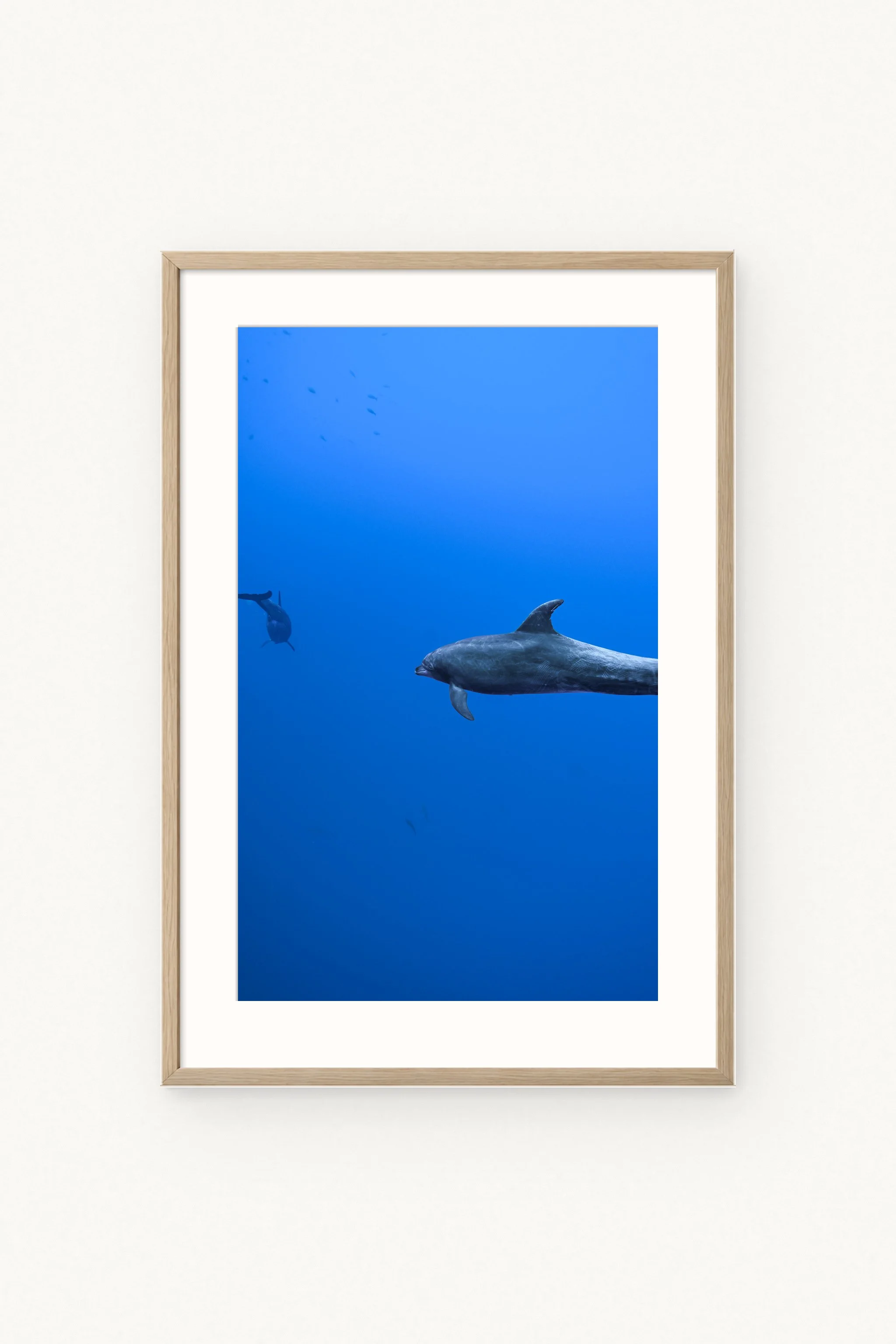 Friends of the Blue