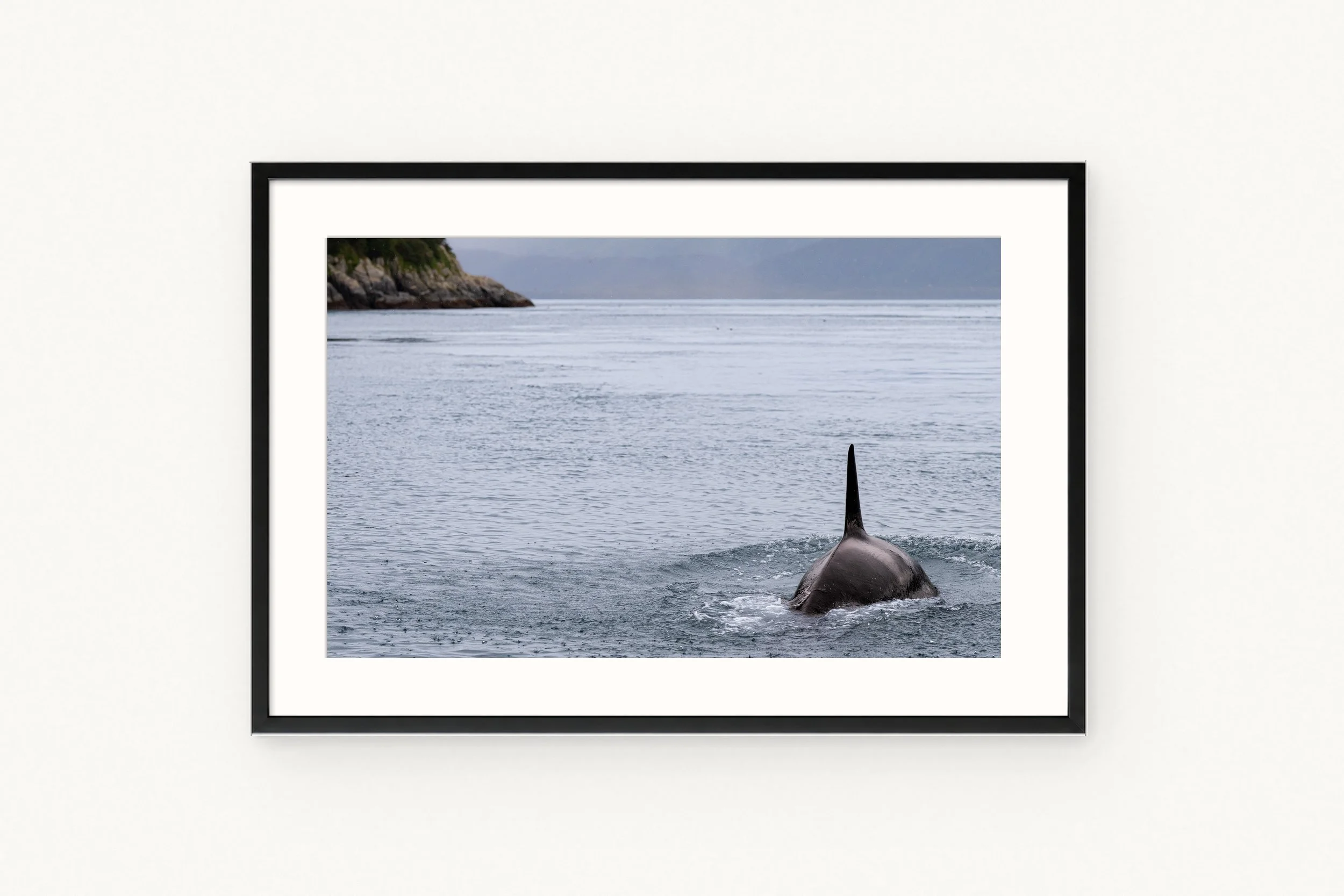 orca-surfacing-black.jpg