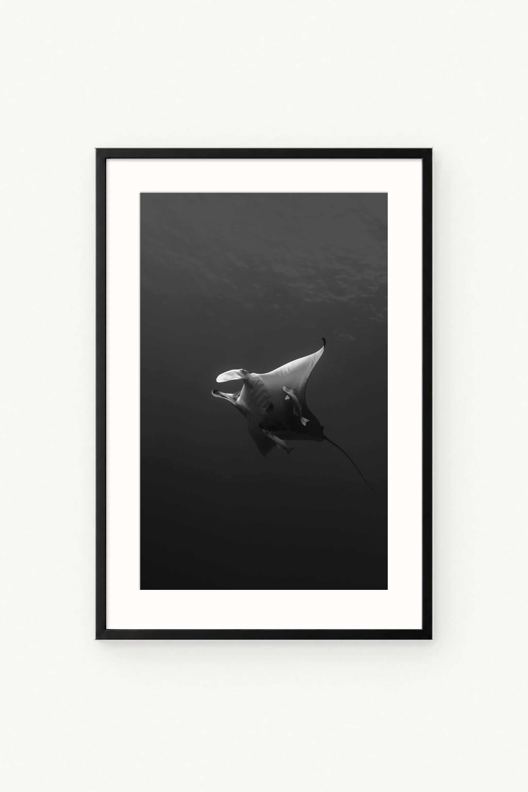 manta-bw-glide-black.jpg