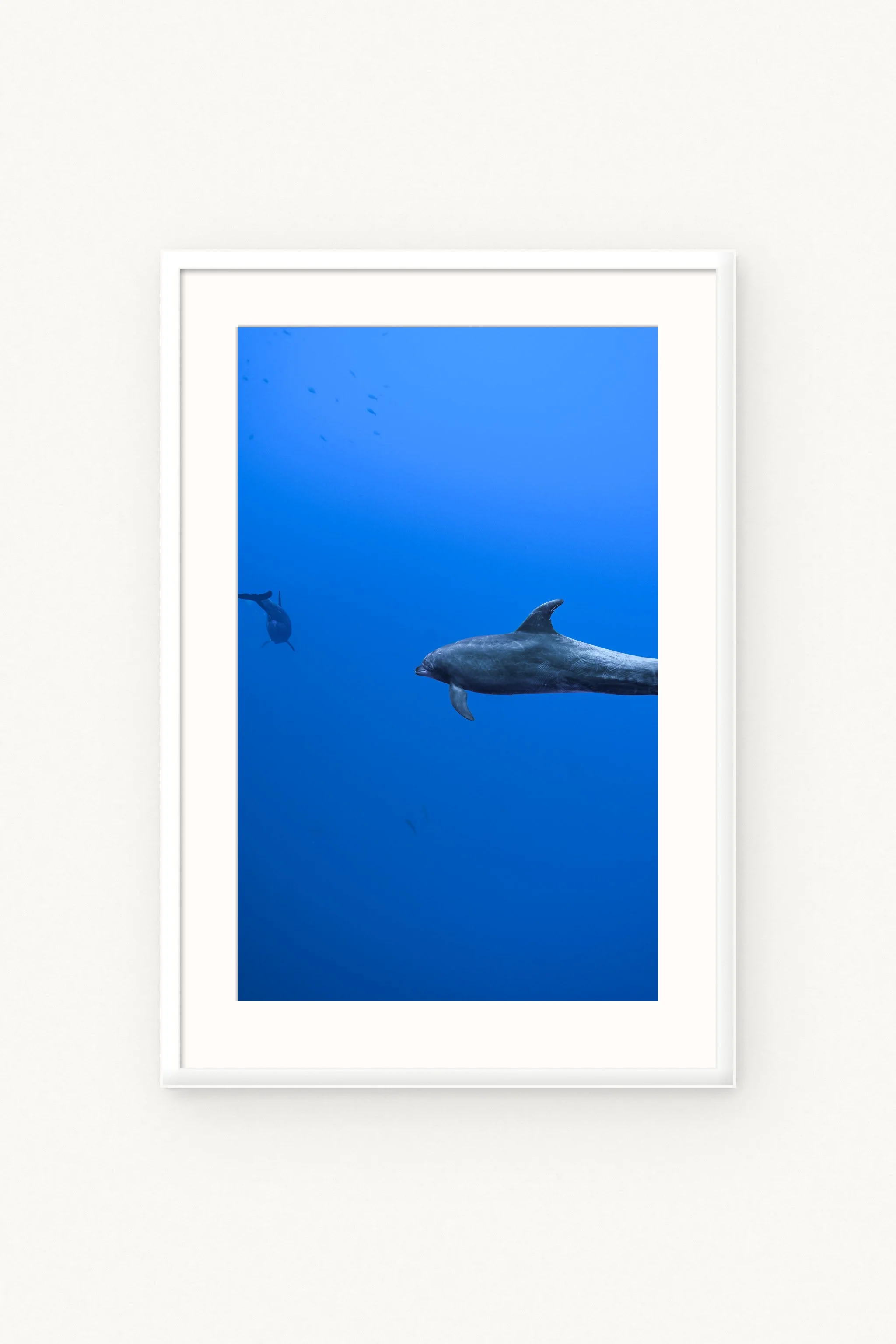 Friends of the Blue
