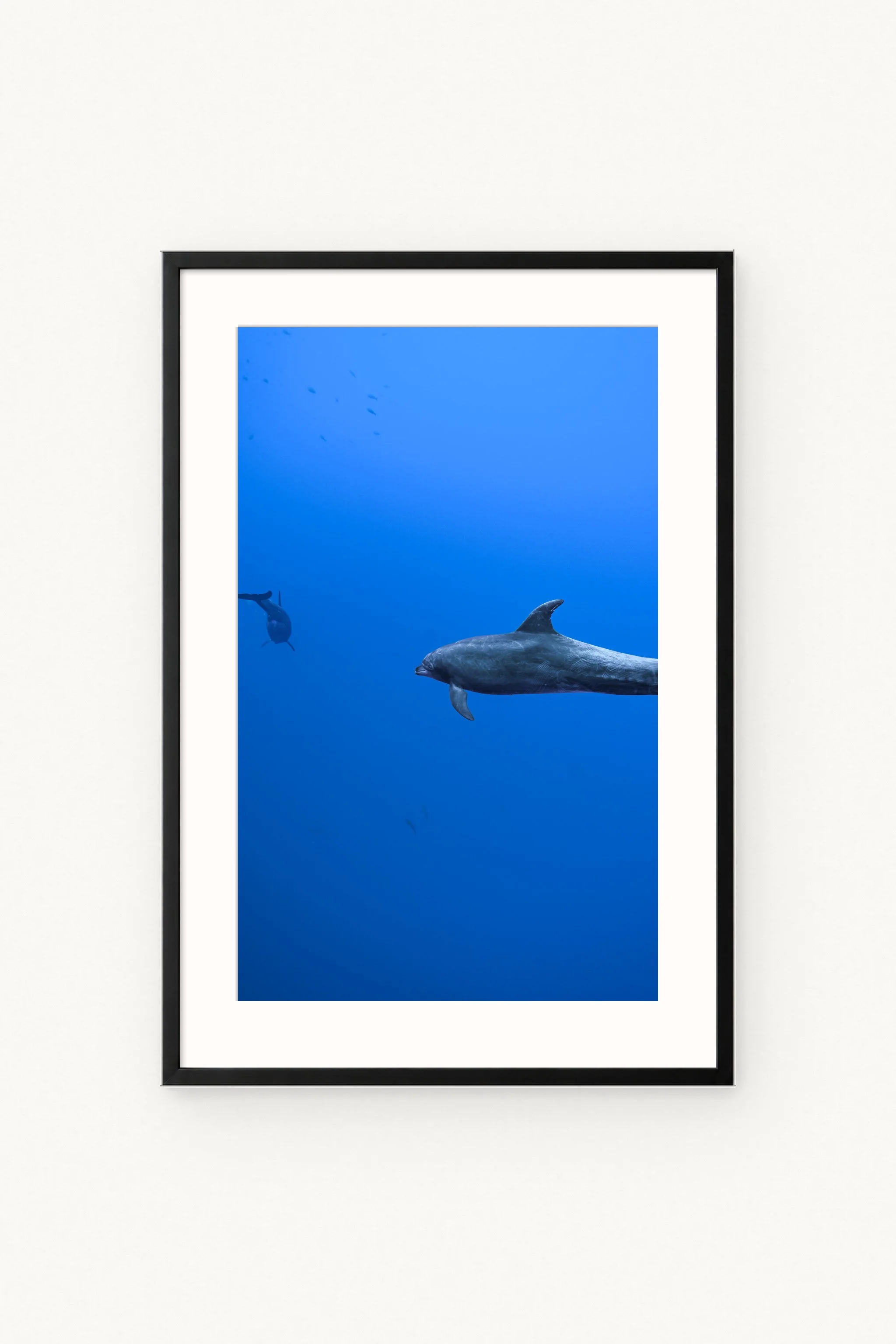 Friends of the Blue