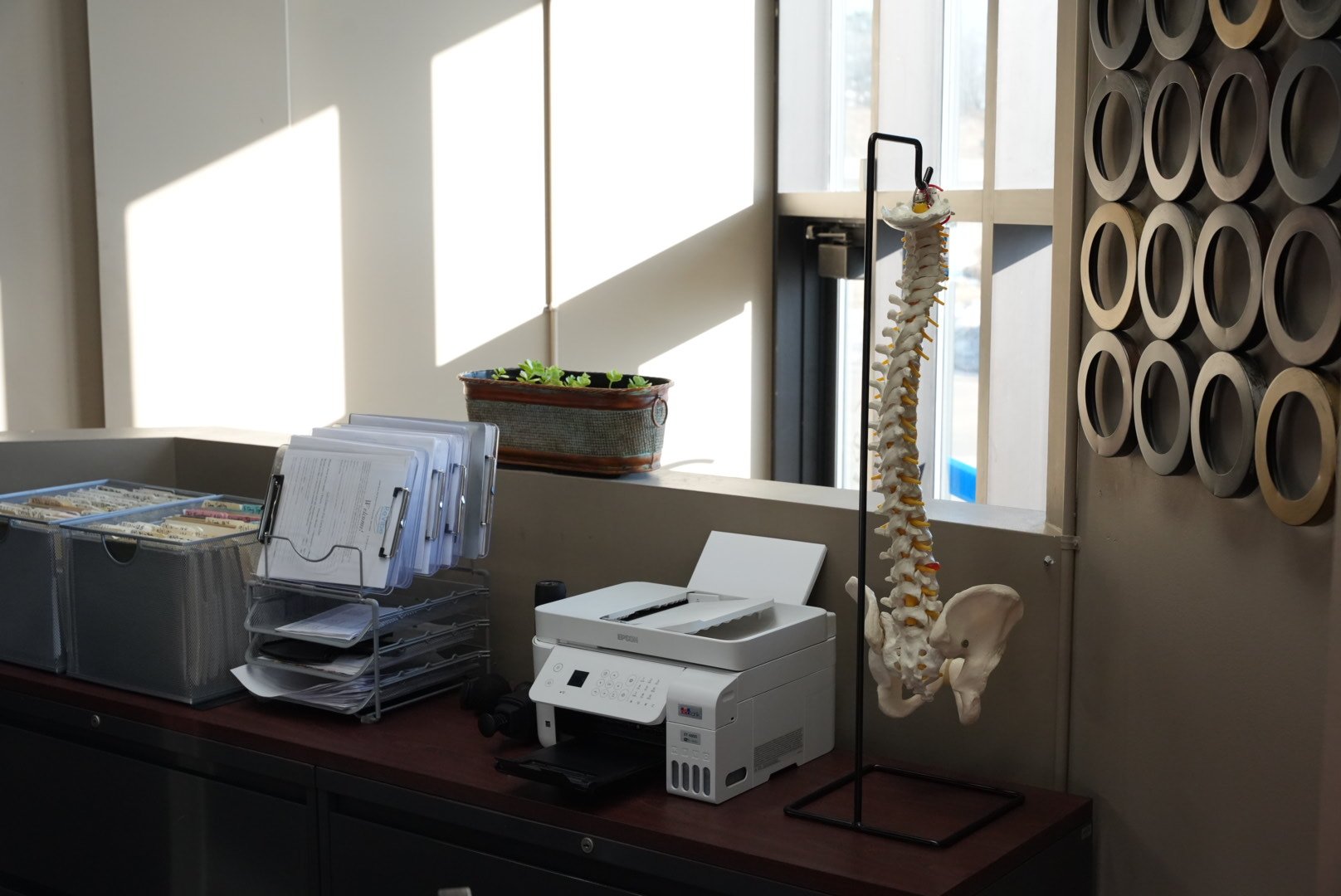 The clinic's front desk, with a spine model and the entrance beyond.