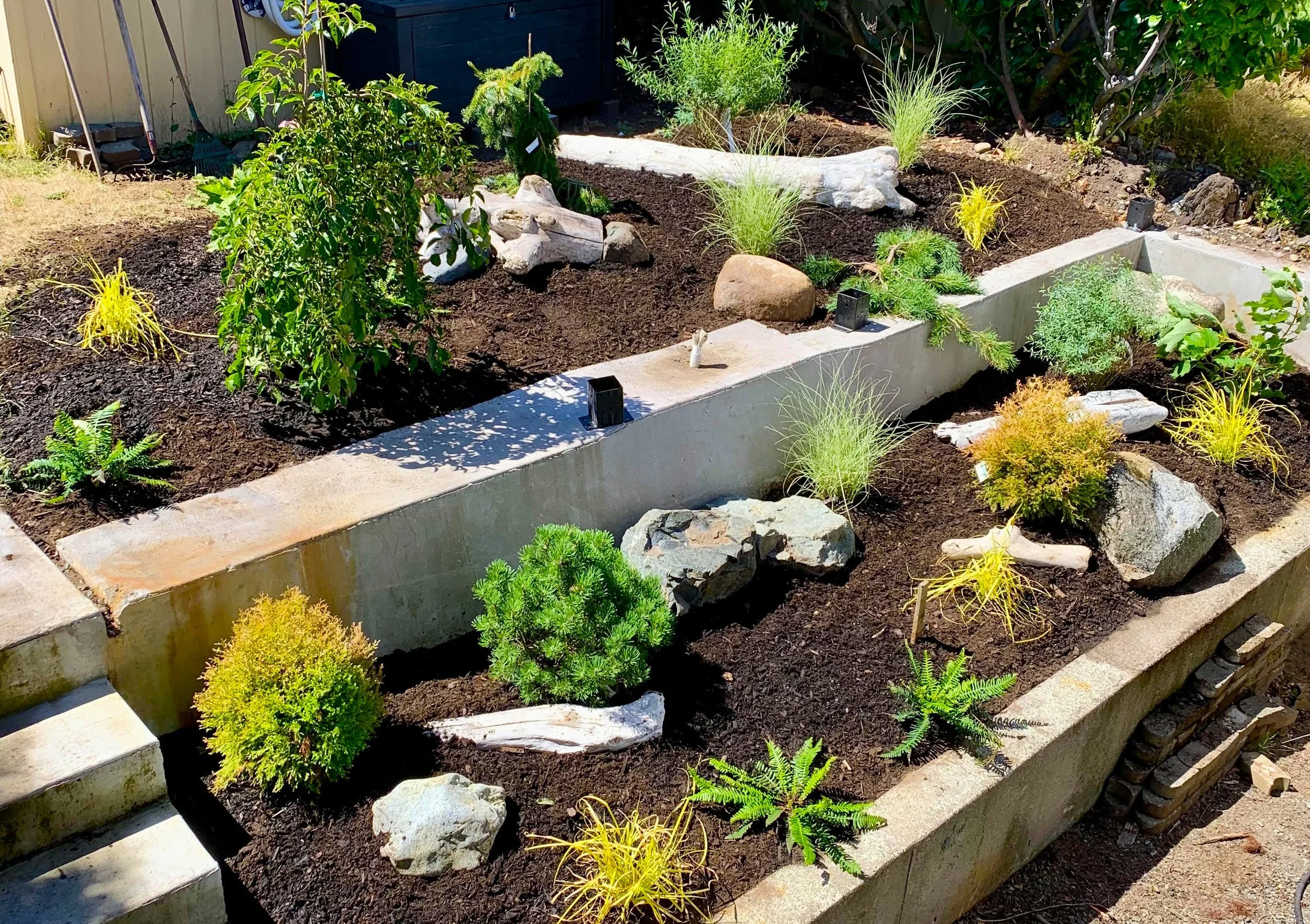 Simple, low budget landscape install that boosts your property's curb appeal