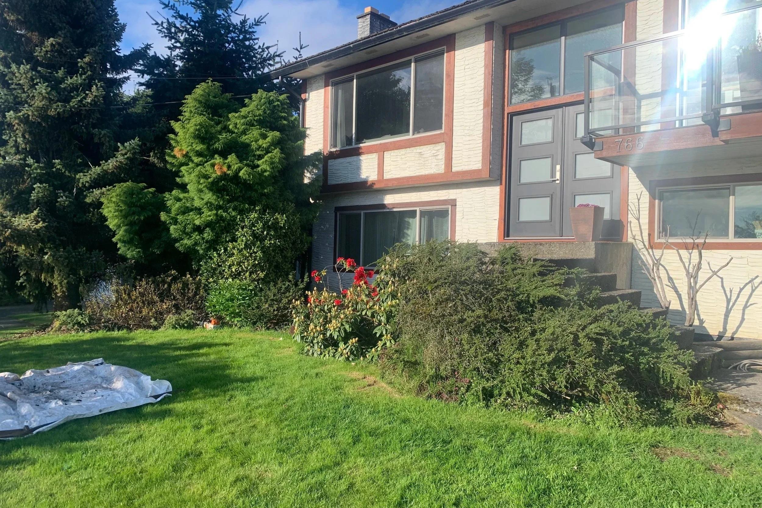 Overgrown garden