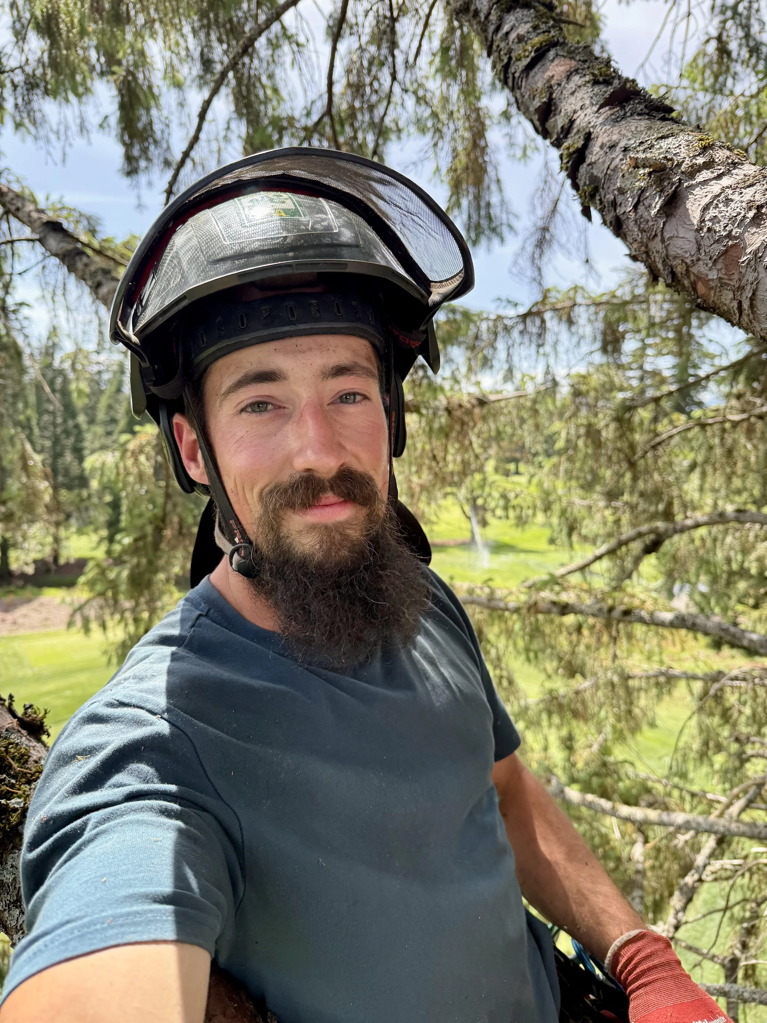 ISA Certified Arborist wearing a pfanner protoss tree climbers helmet