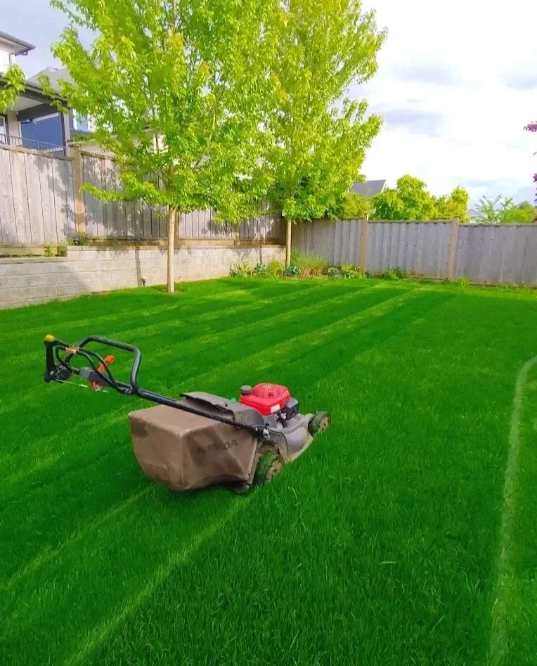 Honda lawn mower and a beautiful green lawn