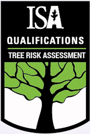 Tree Risk Assessment Qualification