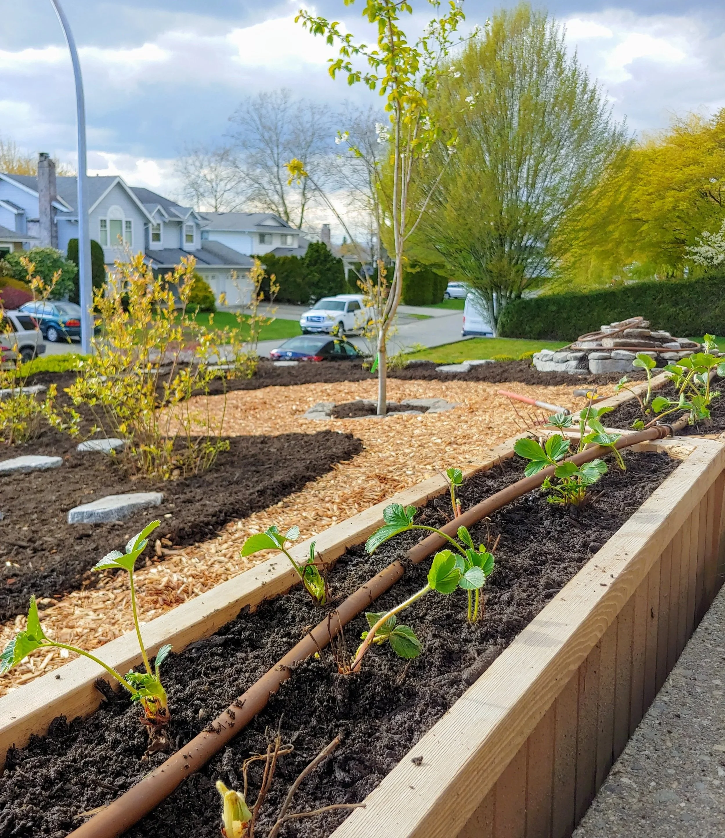 Edible landscaping and permaculture