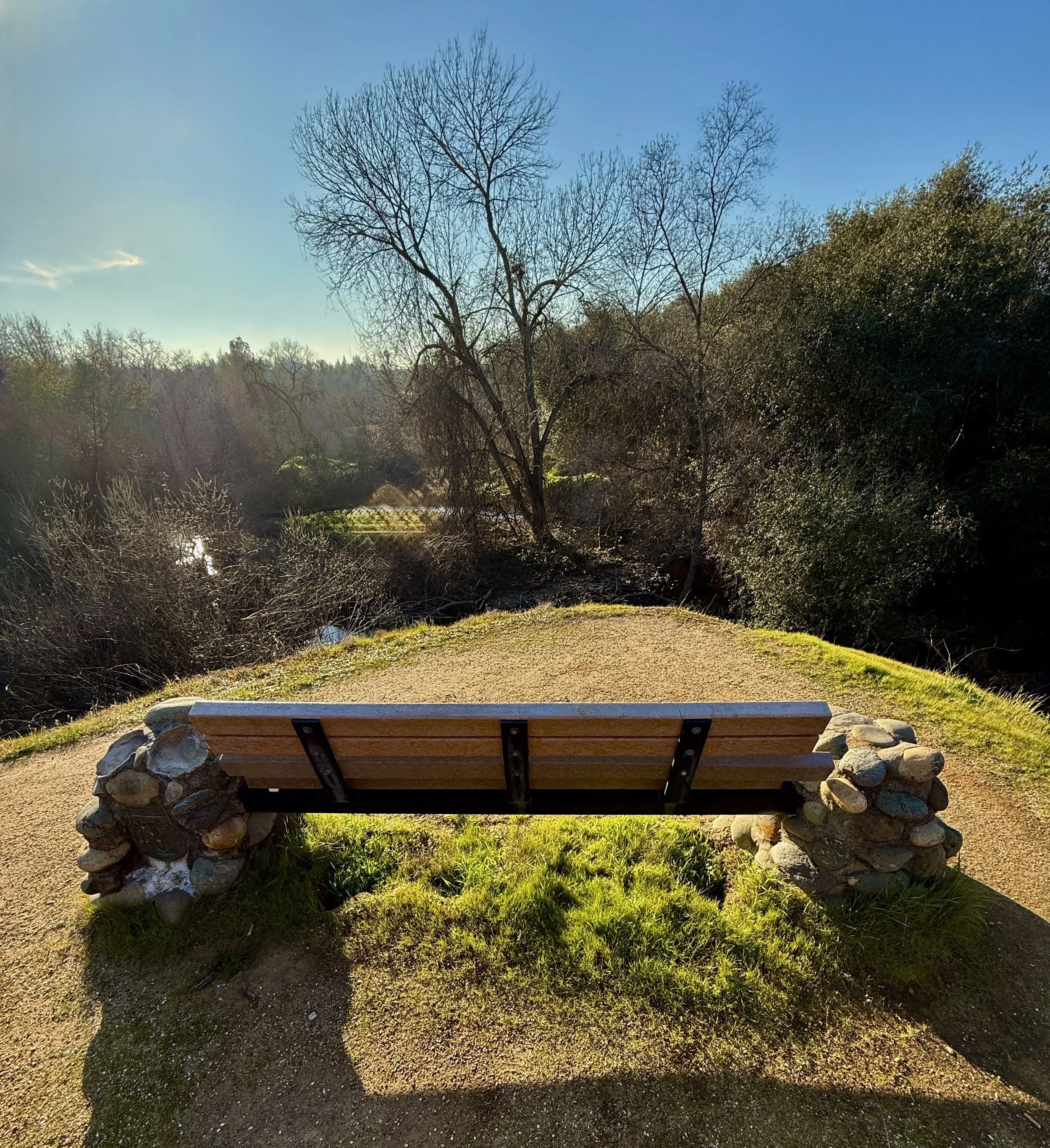 A park bench made of wood and metal with stone supports on a grassy area, with trees and bushes in the background under a clear blue sky.