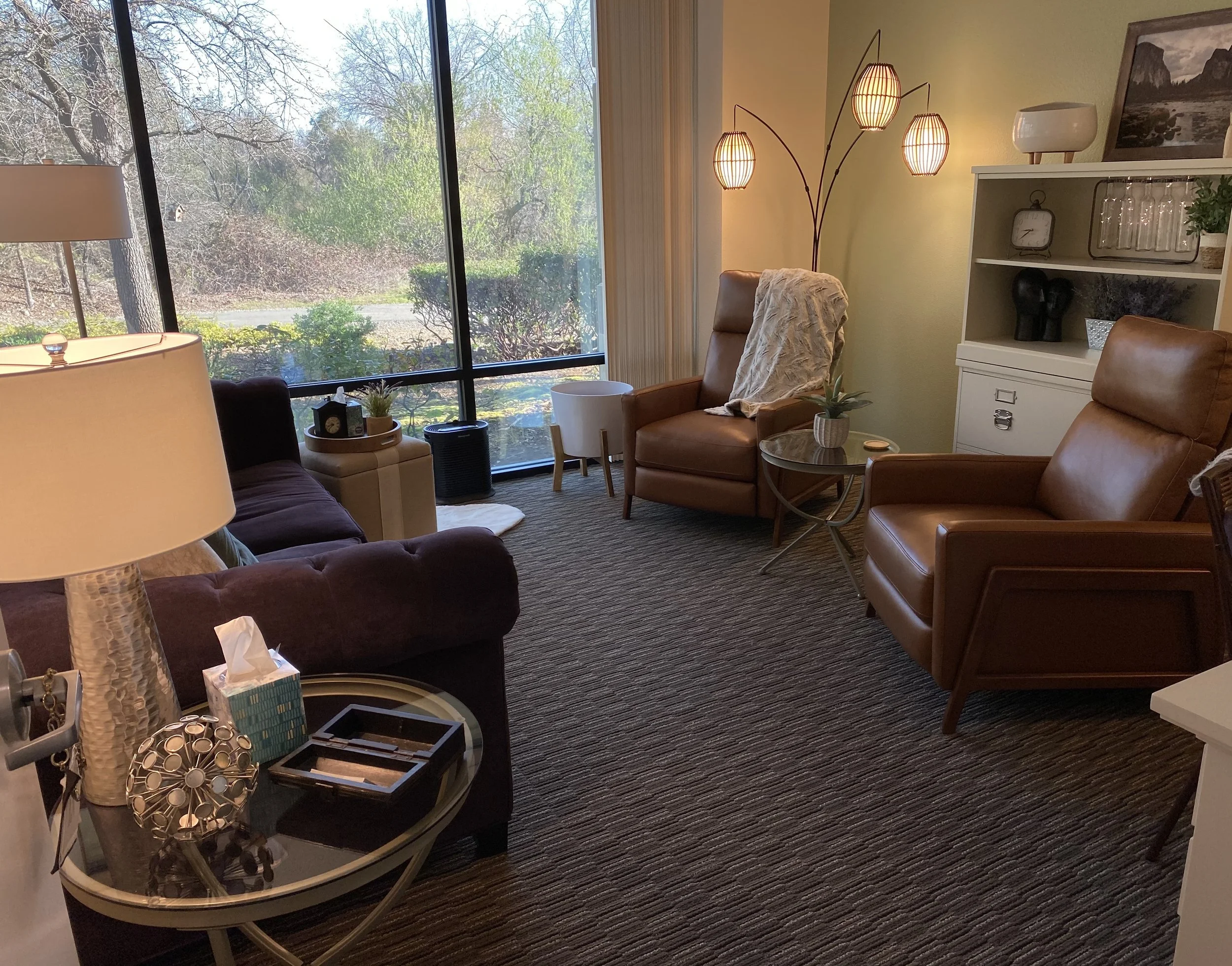 Living room with large window showing trees outside, beige walls, a multi-lamp floor light, leather chairs, a white cabinet with decorative items, a small table with potted plants, and a table with tissues.