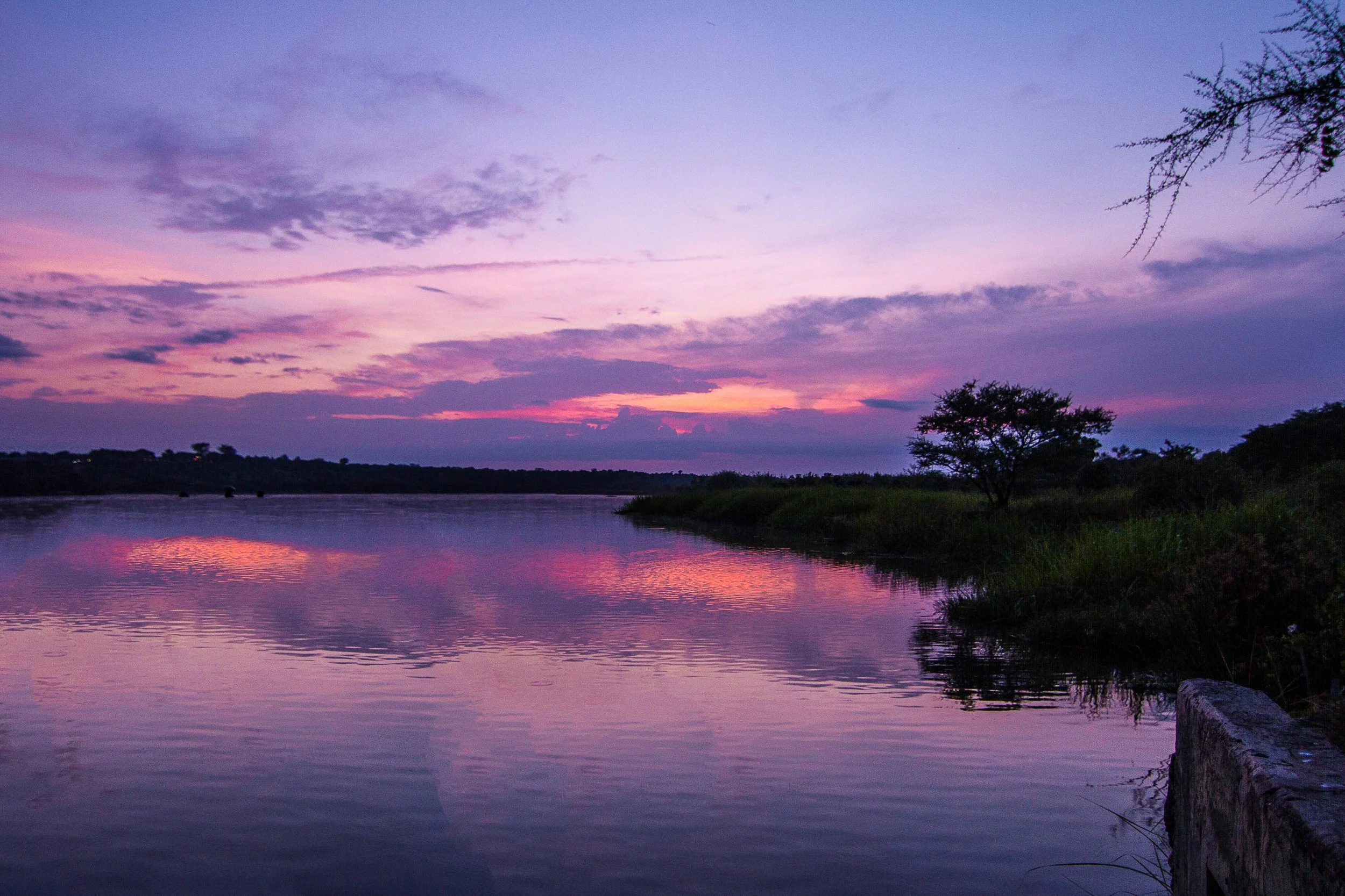 A serene river scene during sunset with the sky painted in shades of purple, pink, and orange, and trees silhouetted along the riverbank.