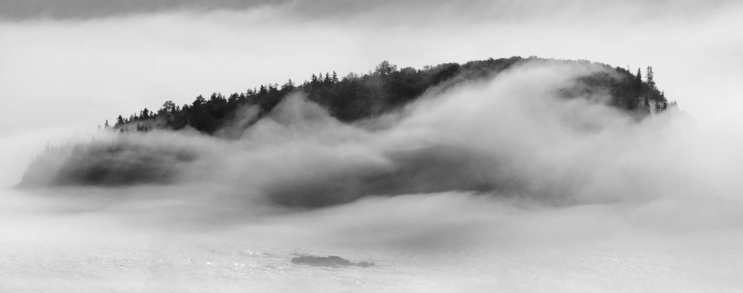_DSC5154.jpg