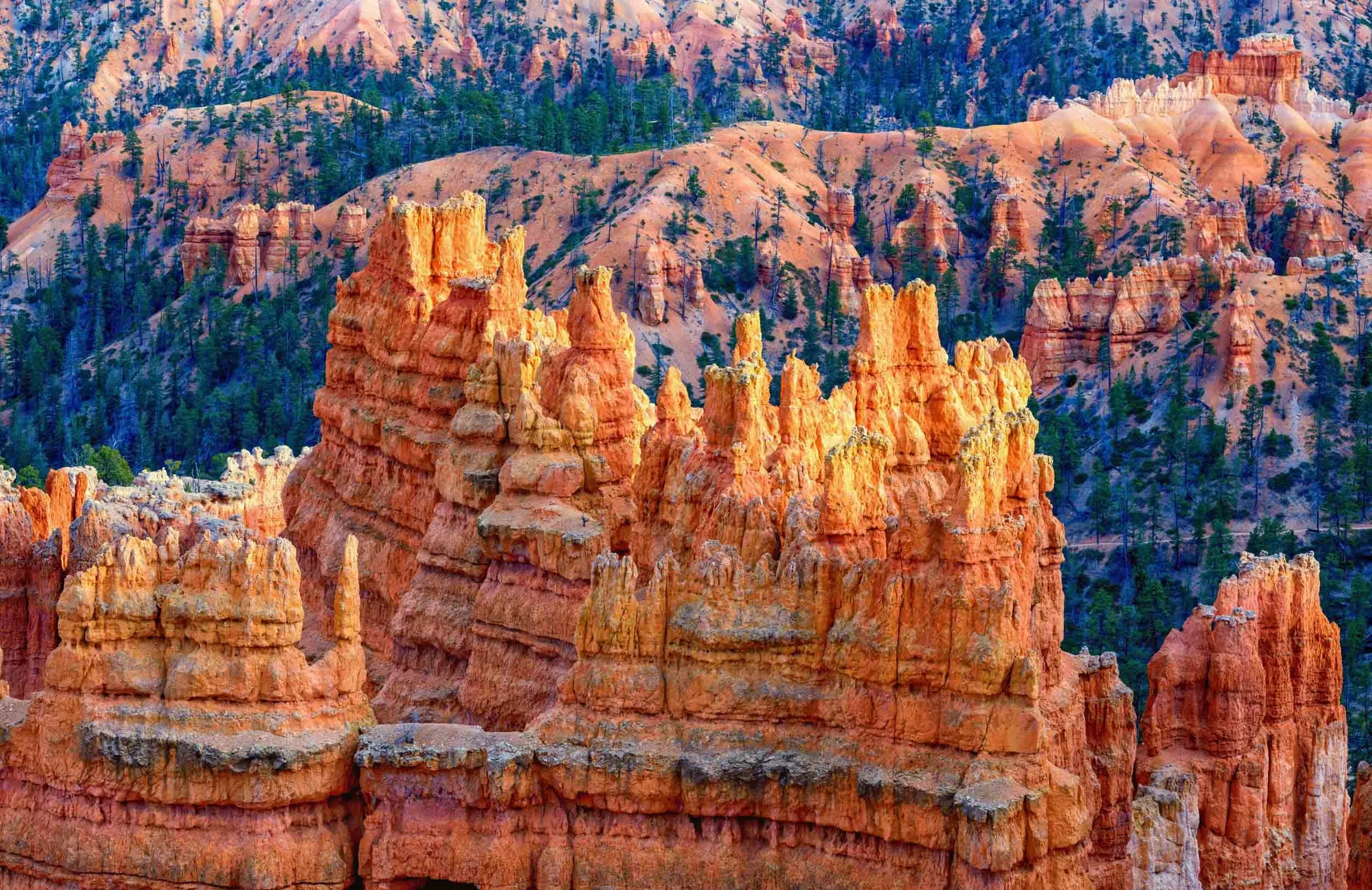 Hoodoos, Bryce Canyon National Park, Utah