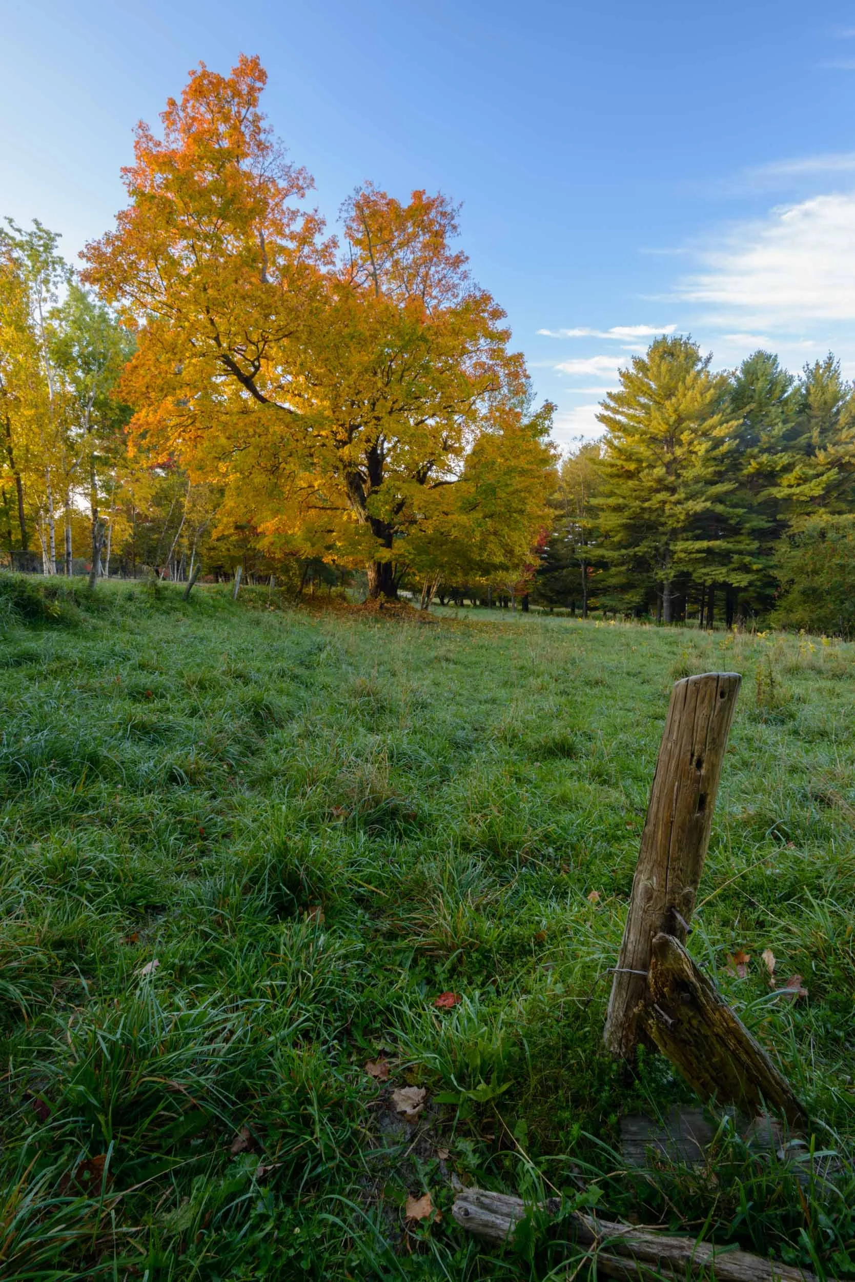 Vermont Pasture, Stowe, Vermont, USA