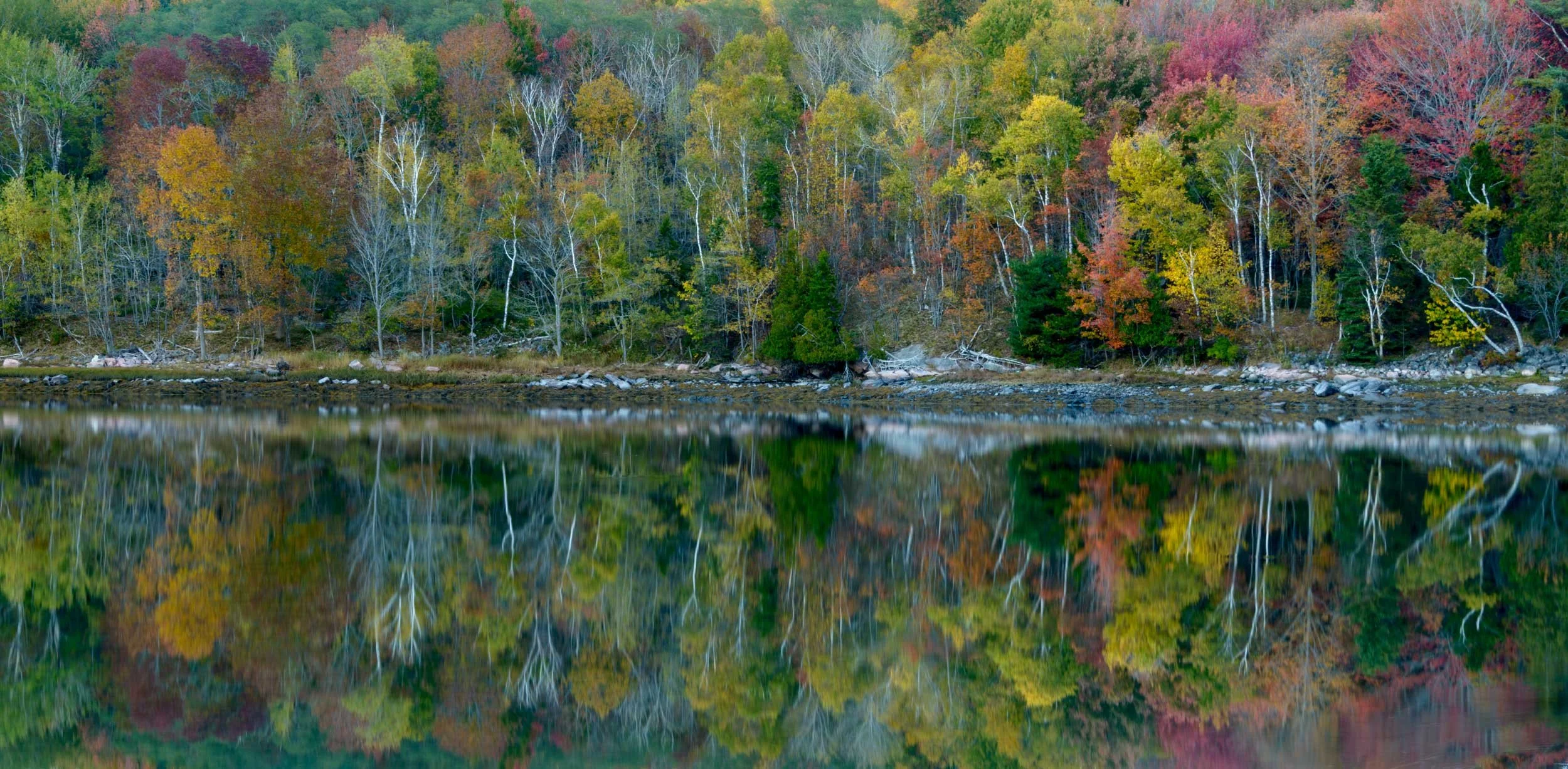_DSC3292.jpg