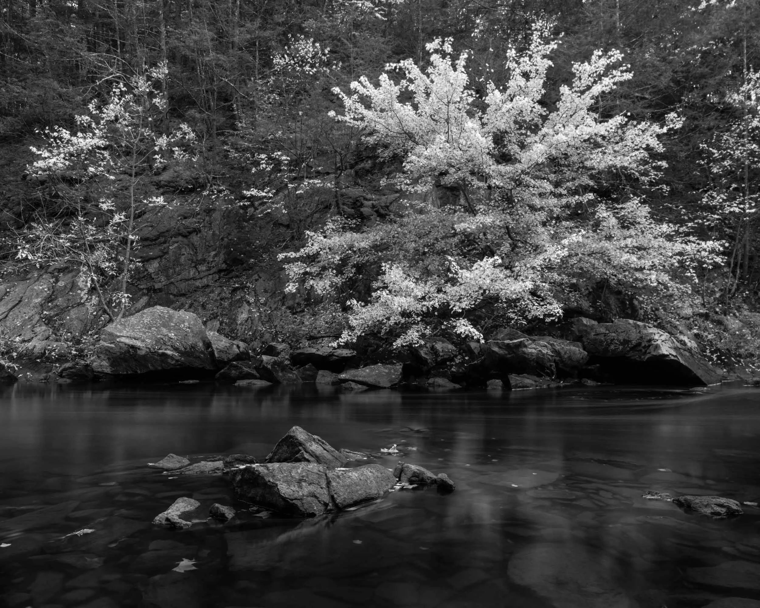 _DSC6265.jpg