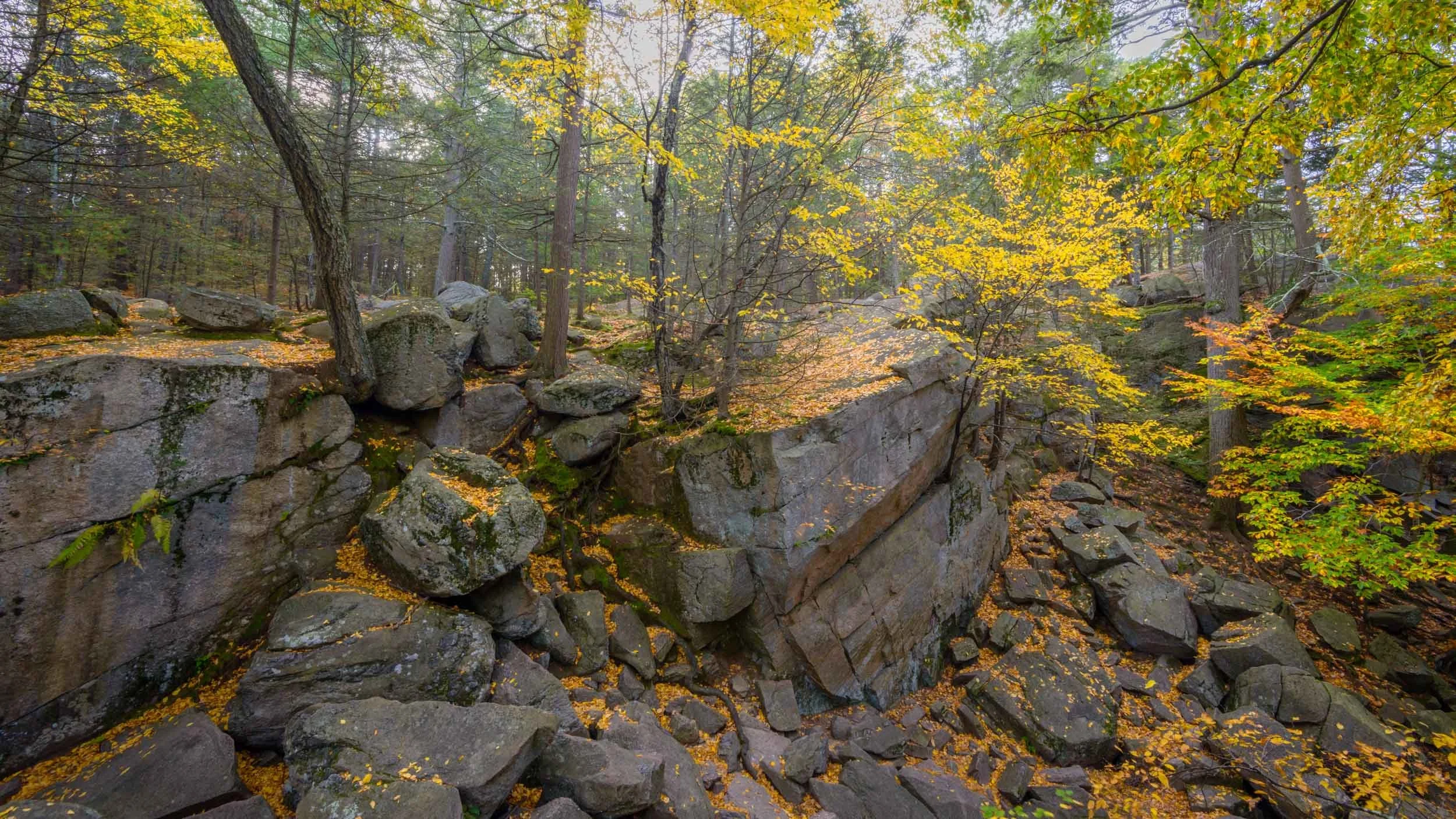 Purgatory Chasm, Sutton, Massachusetts, USA