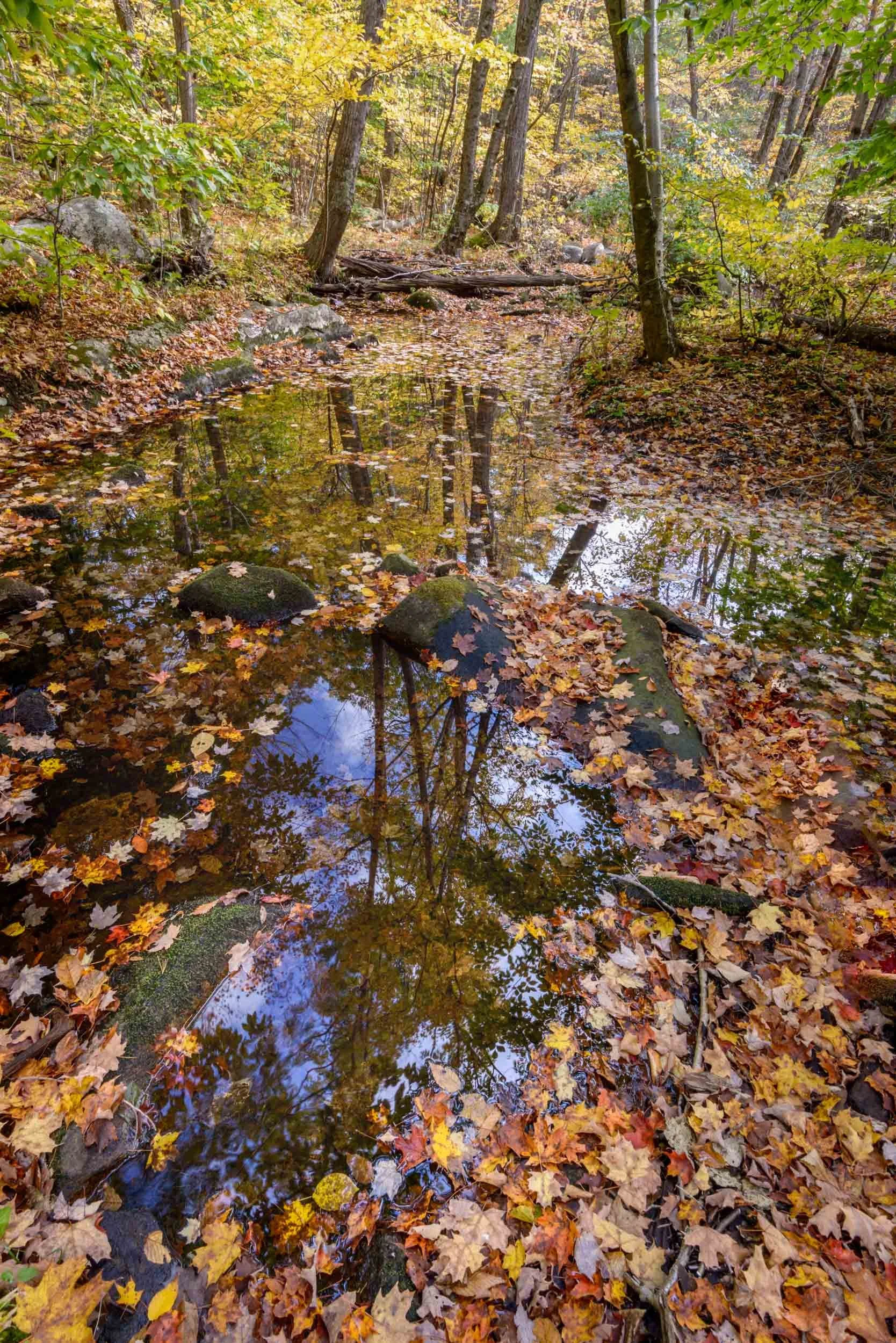 Purgatory Brook, Massachusetts, USA