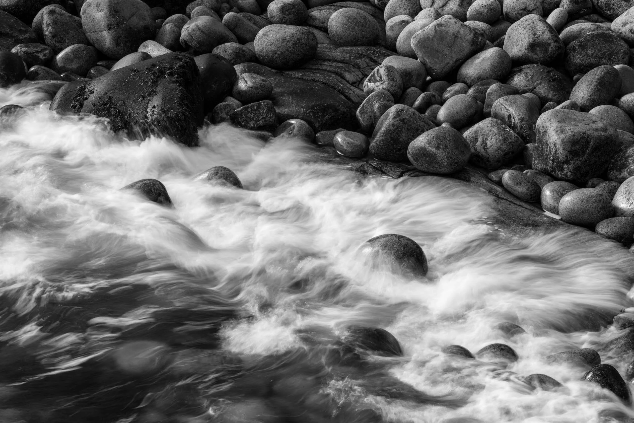 _DSC6217-2.jpg