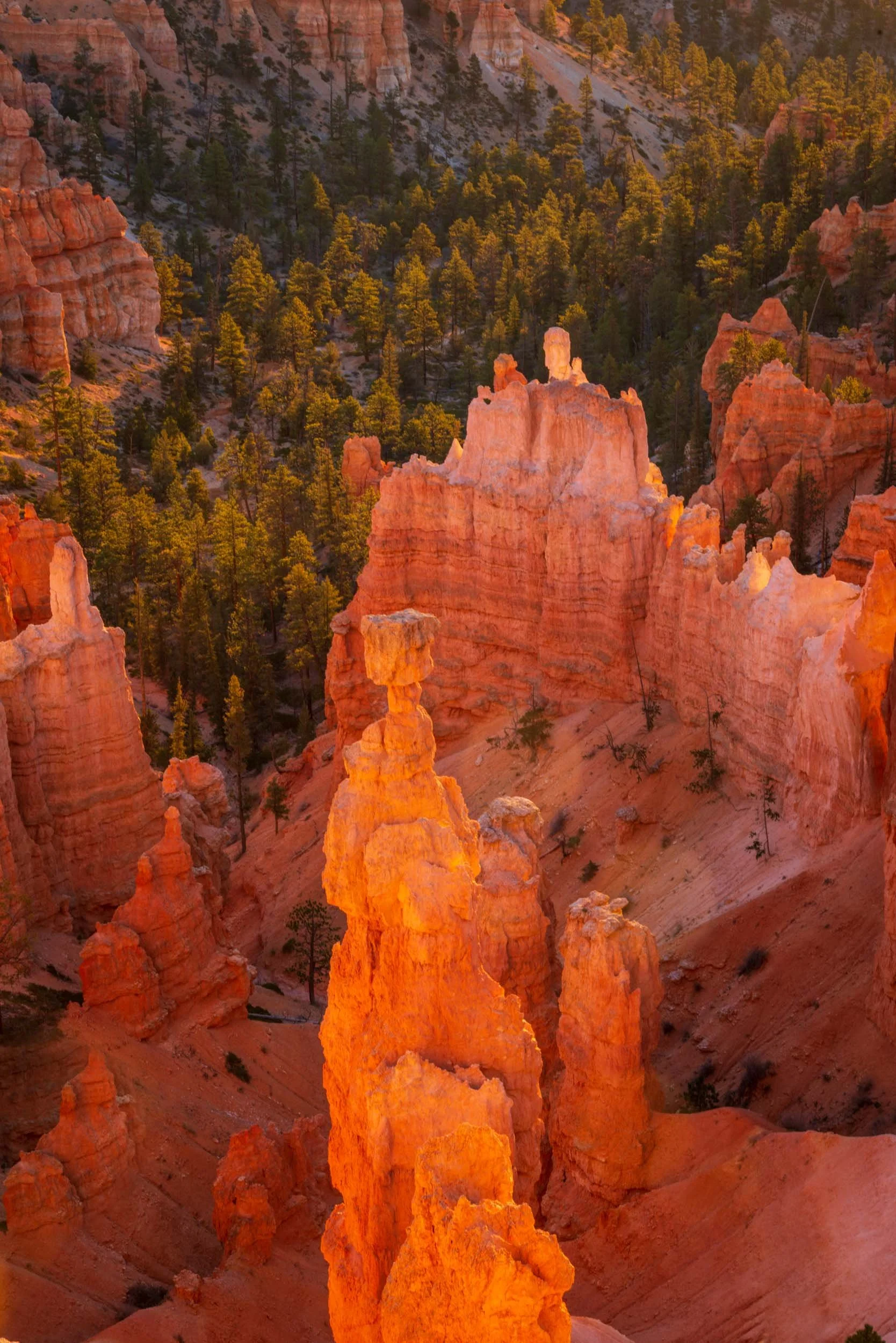 Thor's Hammer, Bryce Canyon National Park, Utah, USA 