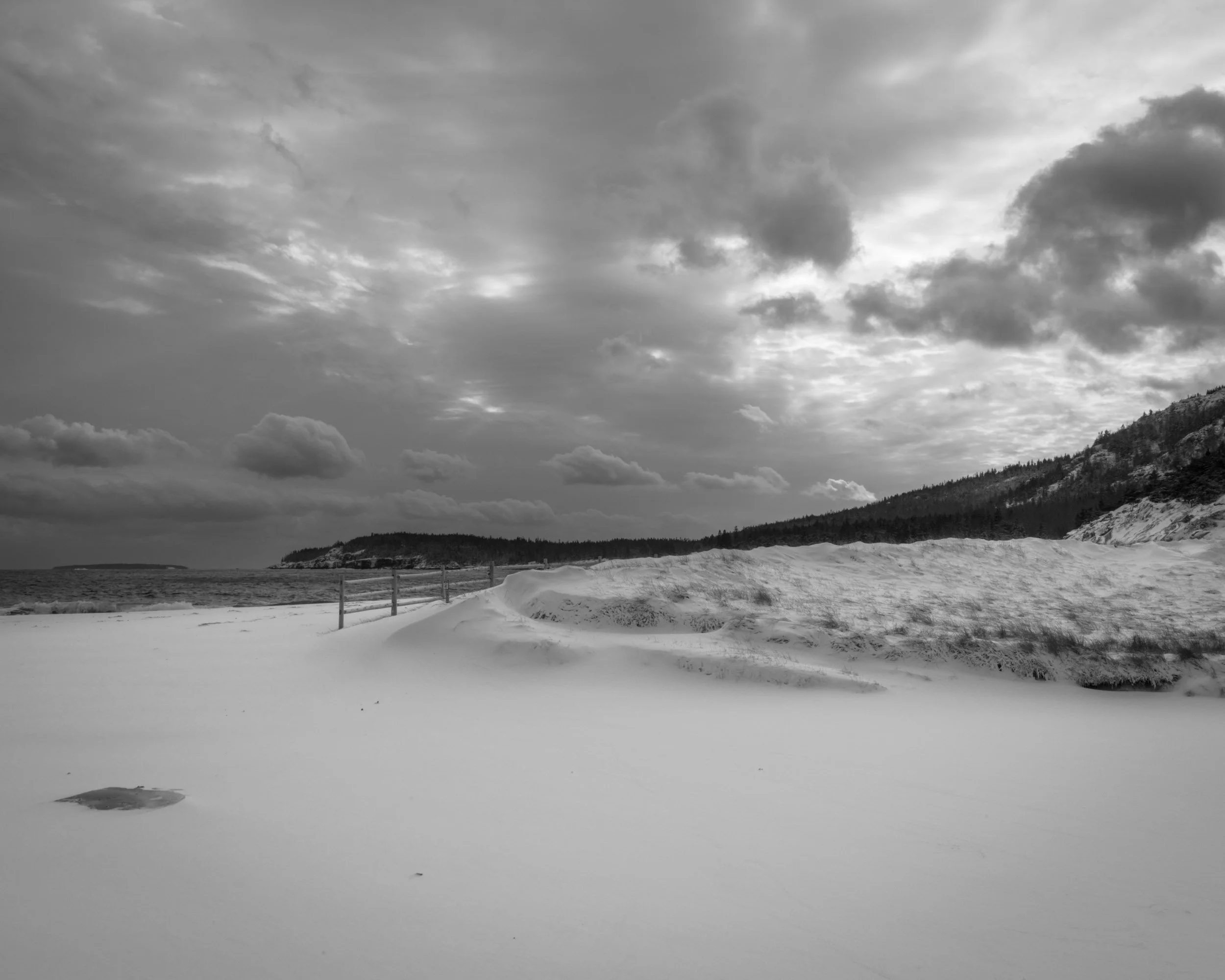 _DSC8284.jpg