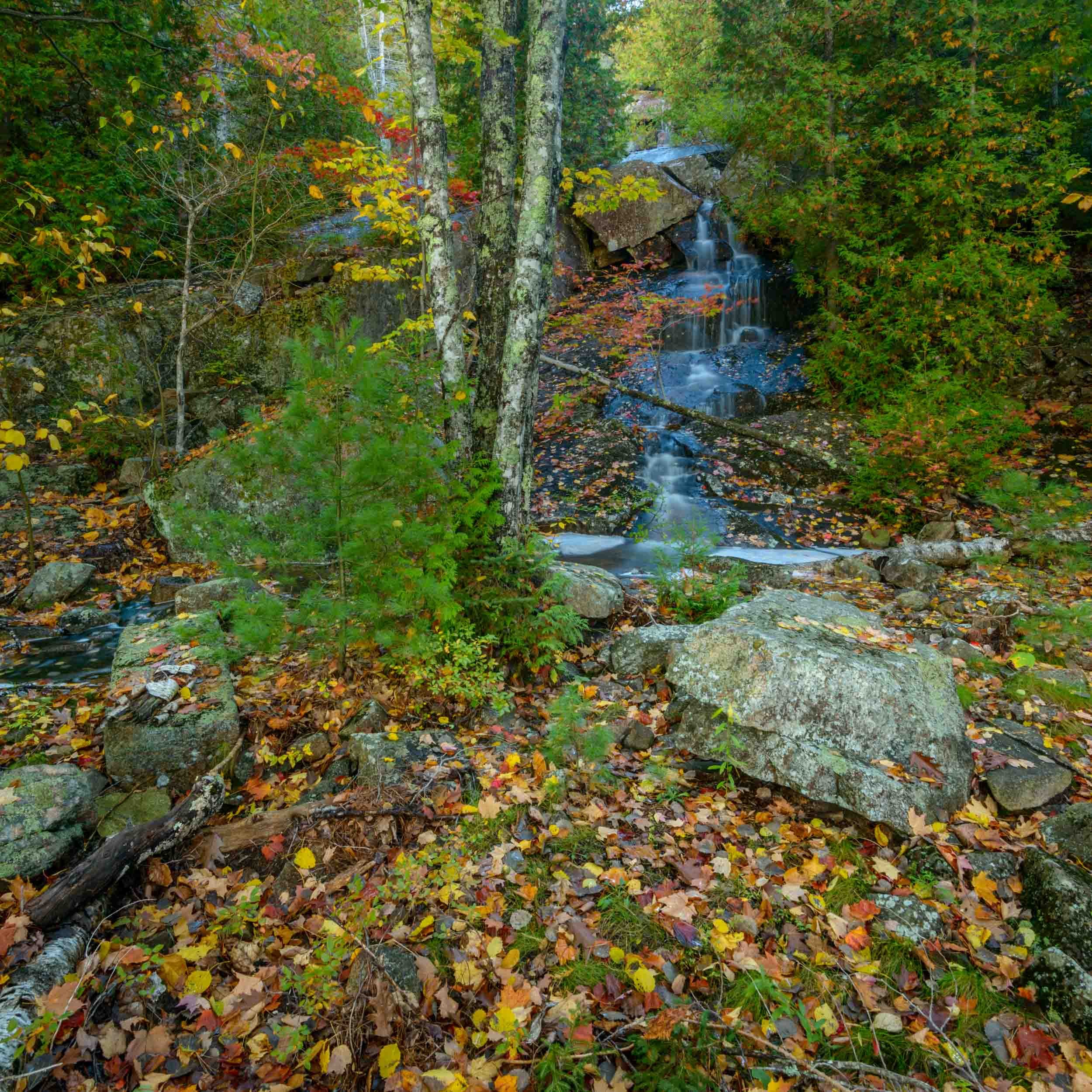 Hidden Cascade, Acadia National Park, Maine, USA