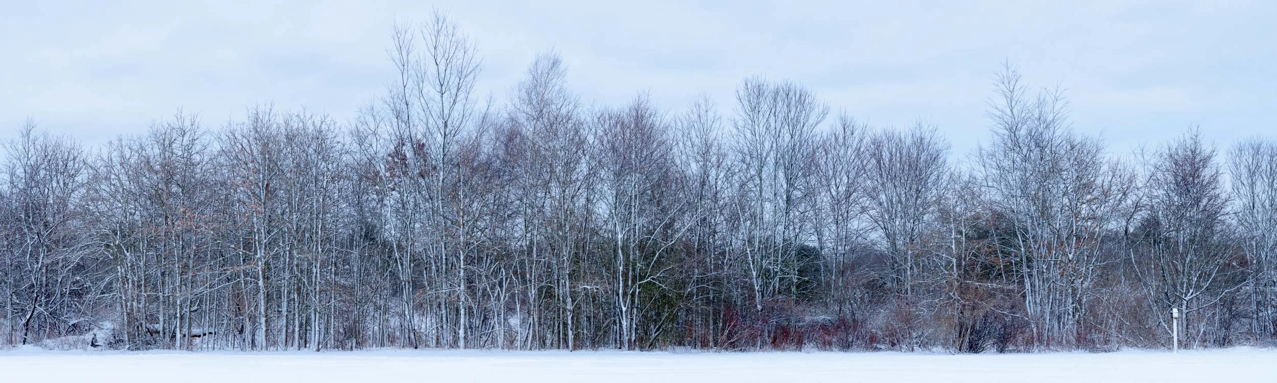 _SEE1598-Pano.jpg