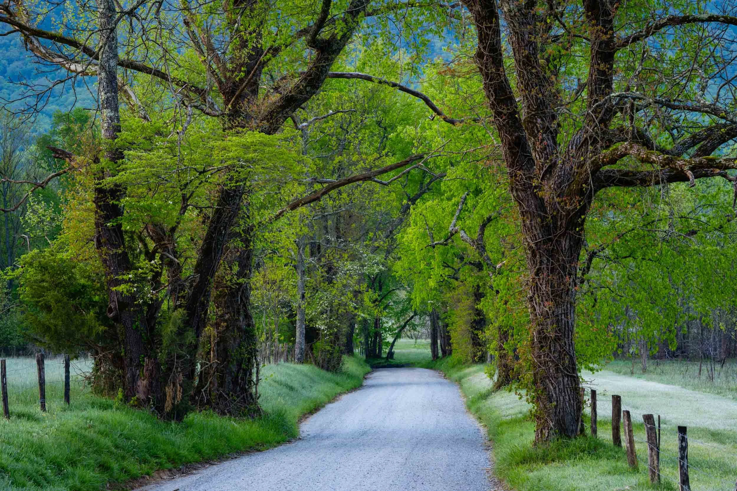 Cades Cove, Great Smoky Mountains National Park, Tennessee, USA