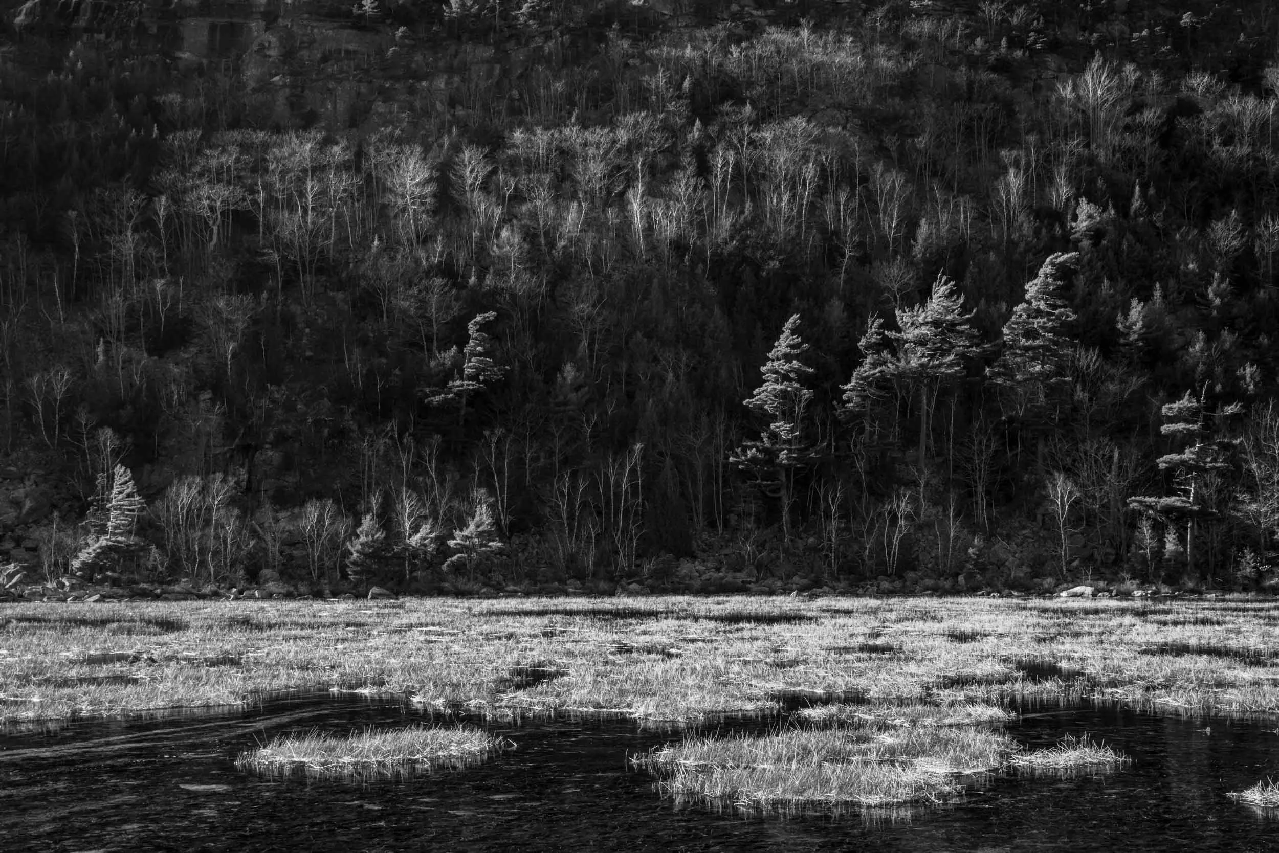 _DSC7212.jpg