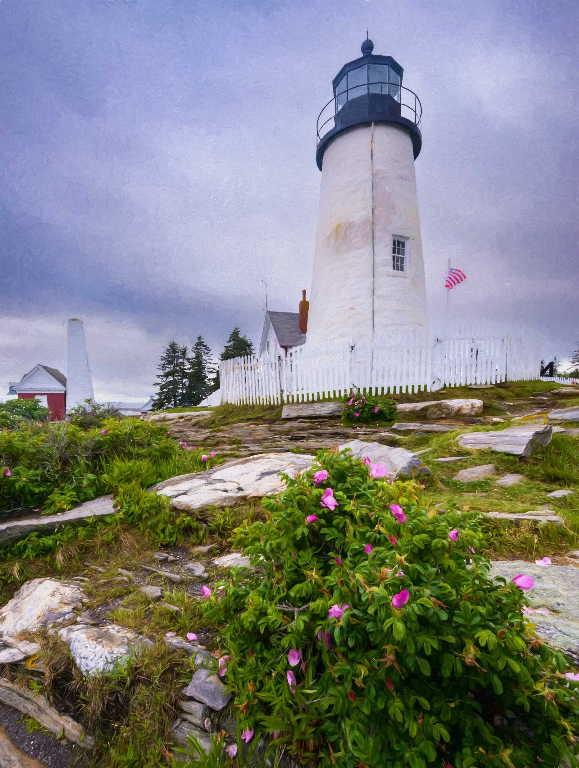 Rugosa on a Stormy Morning, Pemaquid Lighthouse, Bristol, Maine, USA
