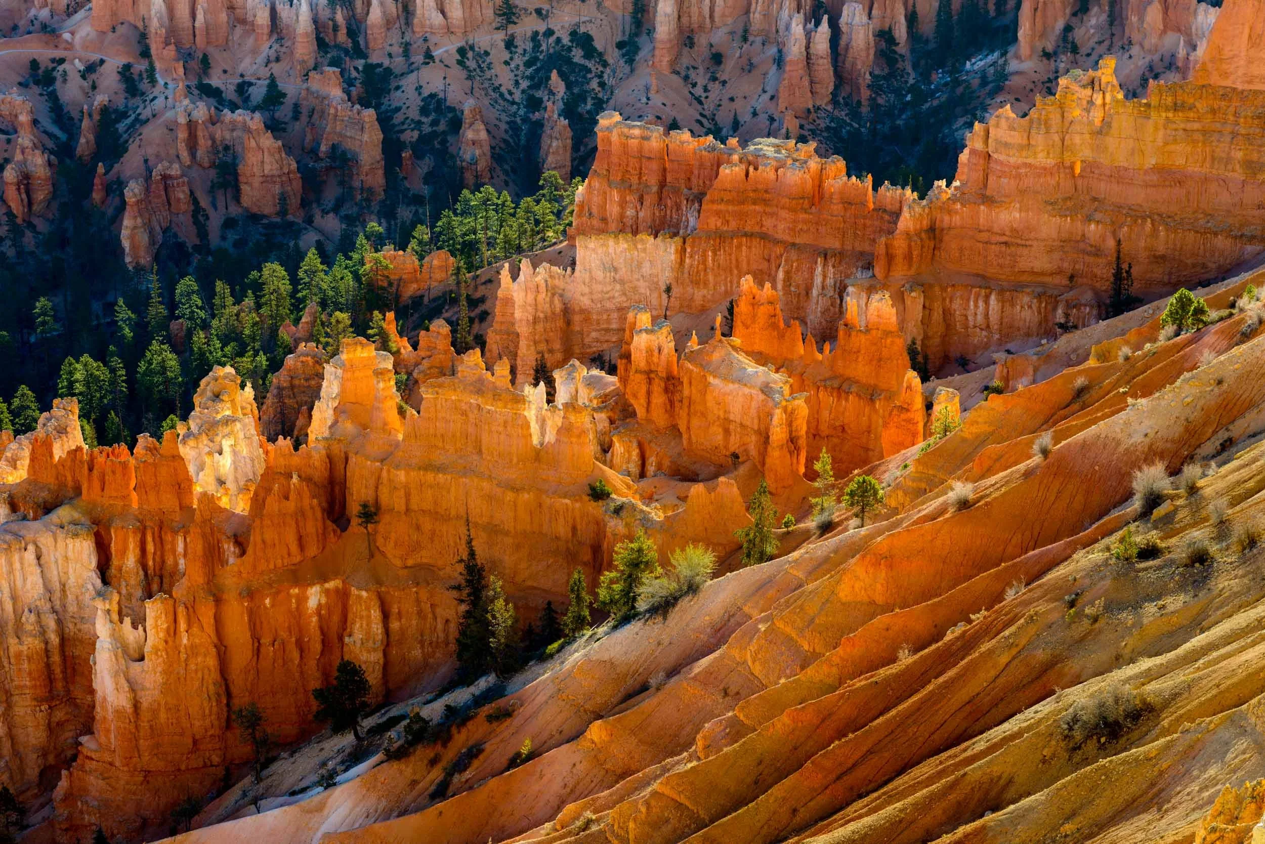 Luminous Canyon, Sunrise, Bryce Canyon National Park, Utah, USA