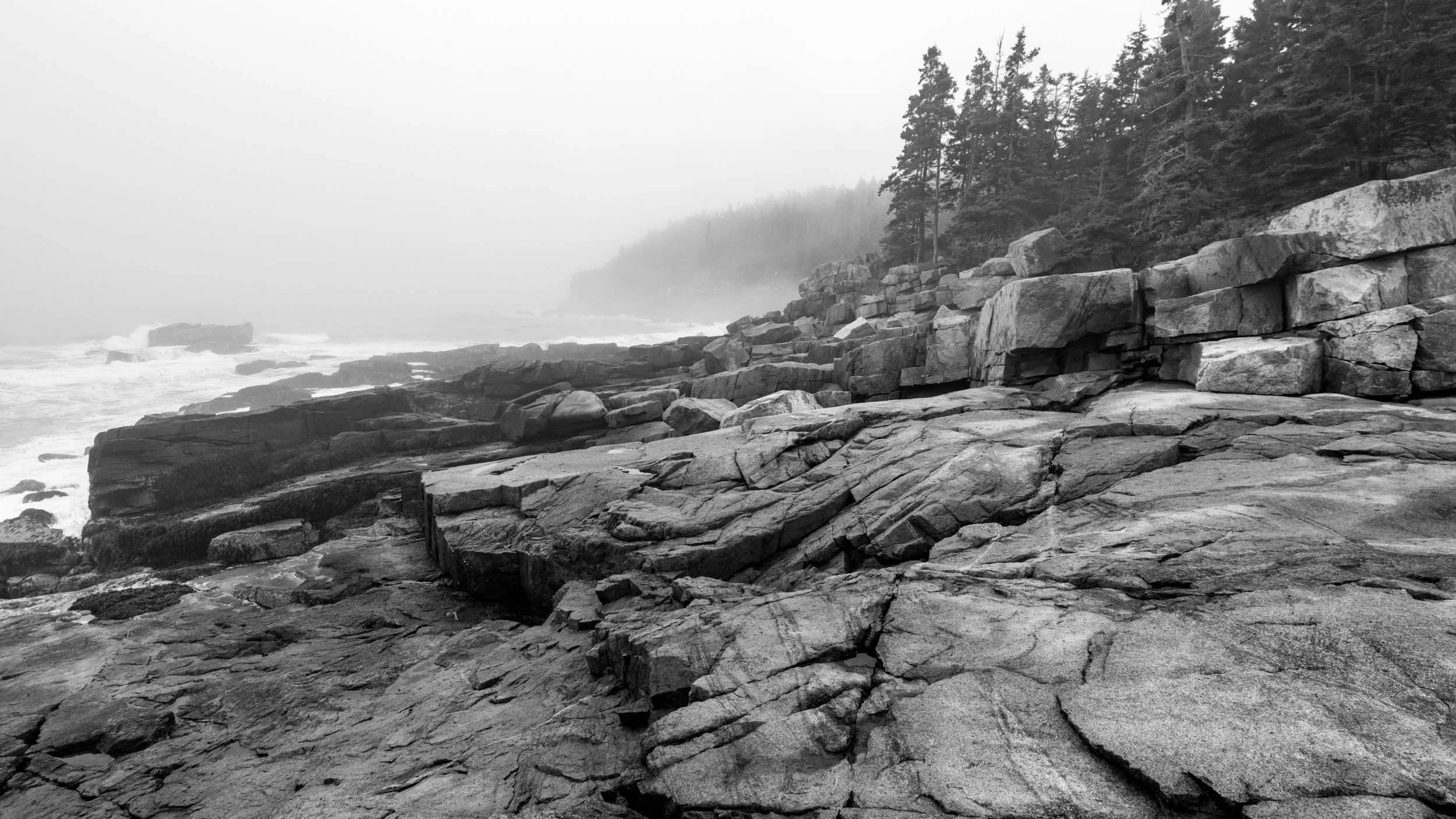 _DSC8890.jpg