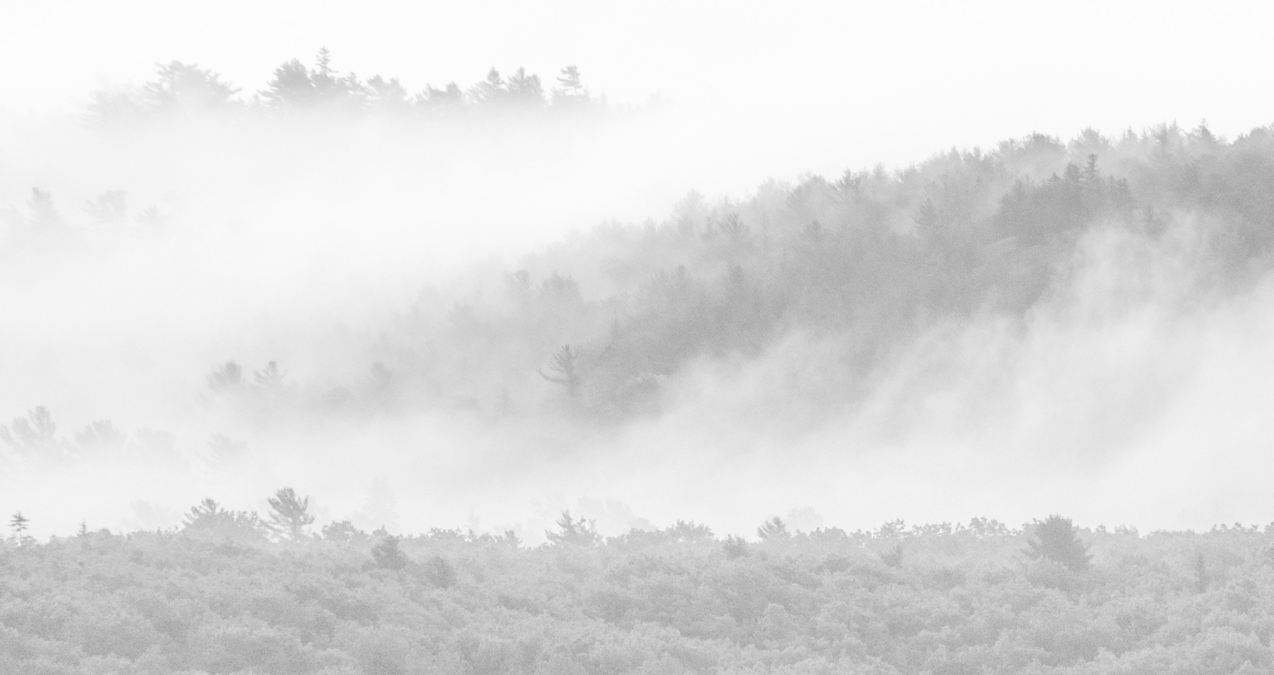_DSC5160 - Copy.jpg