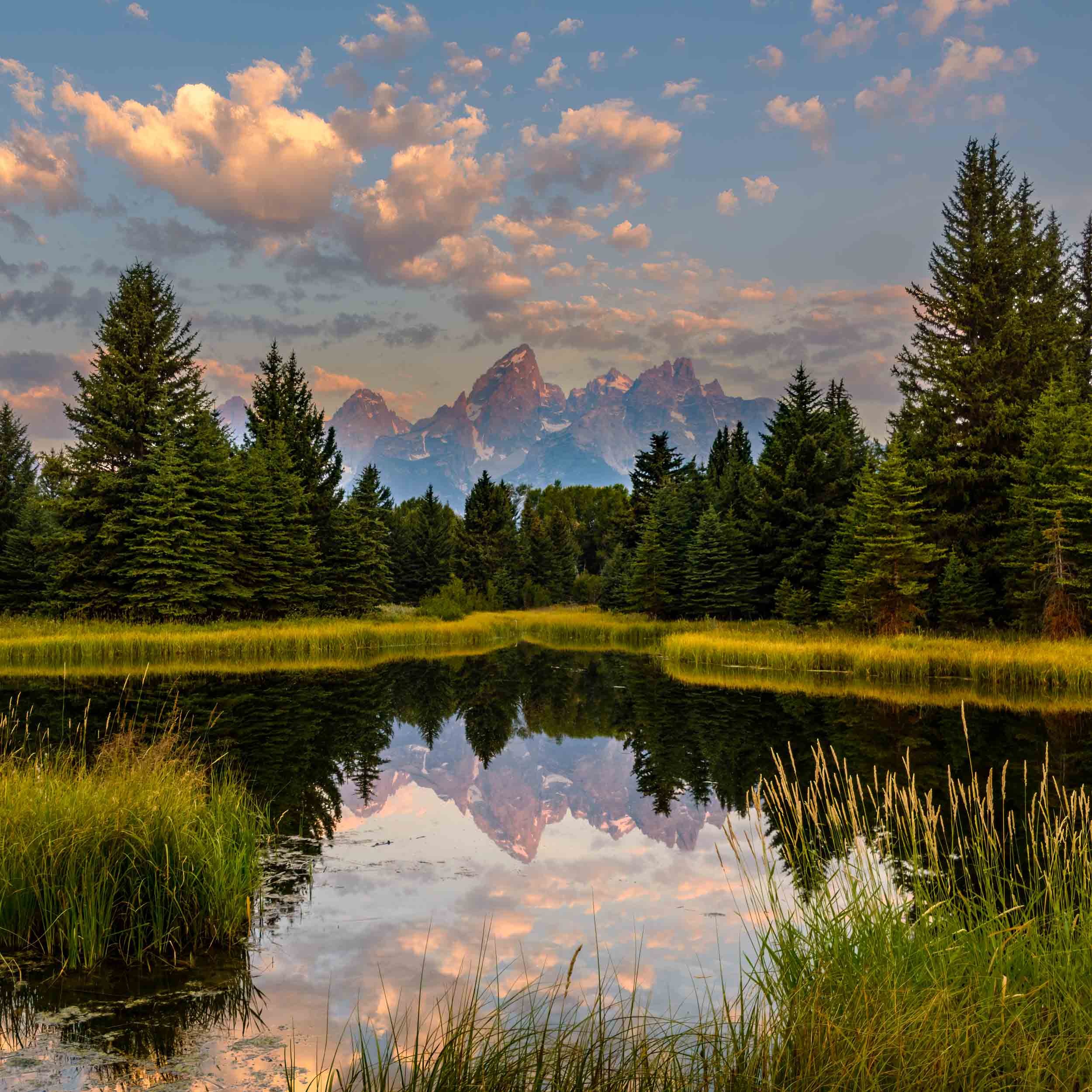 Schwabacher Landing Sunrise, Grand Teton National Park, Wyoming