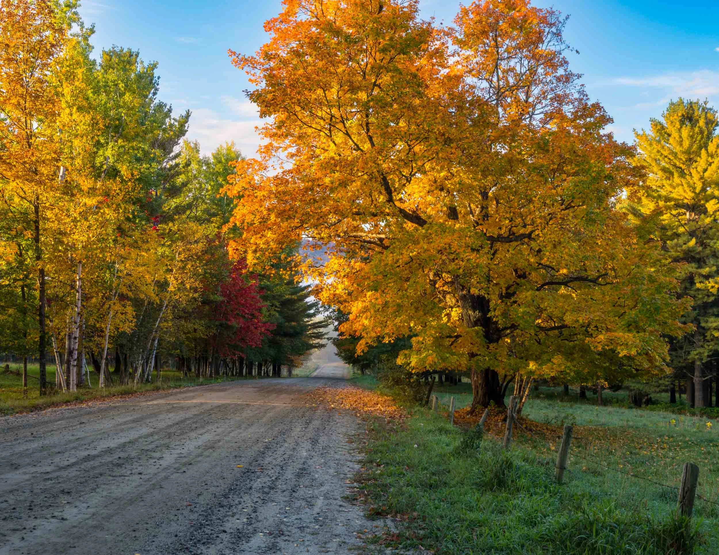 Backroad to an Autumn Morning, Stowe, Vermont, USA