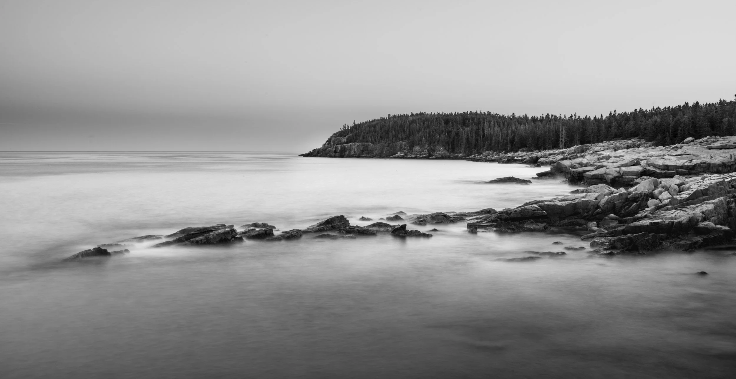 _DSC9000.jpg