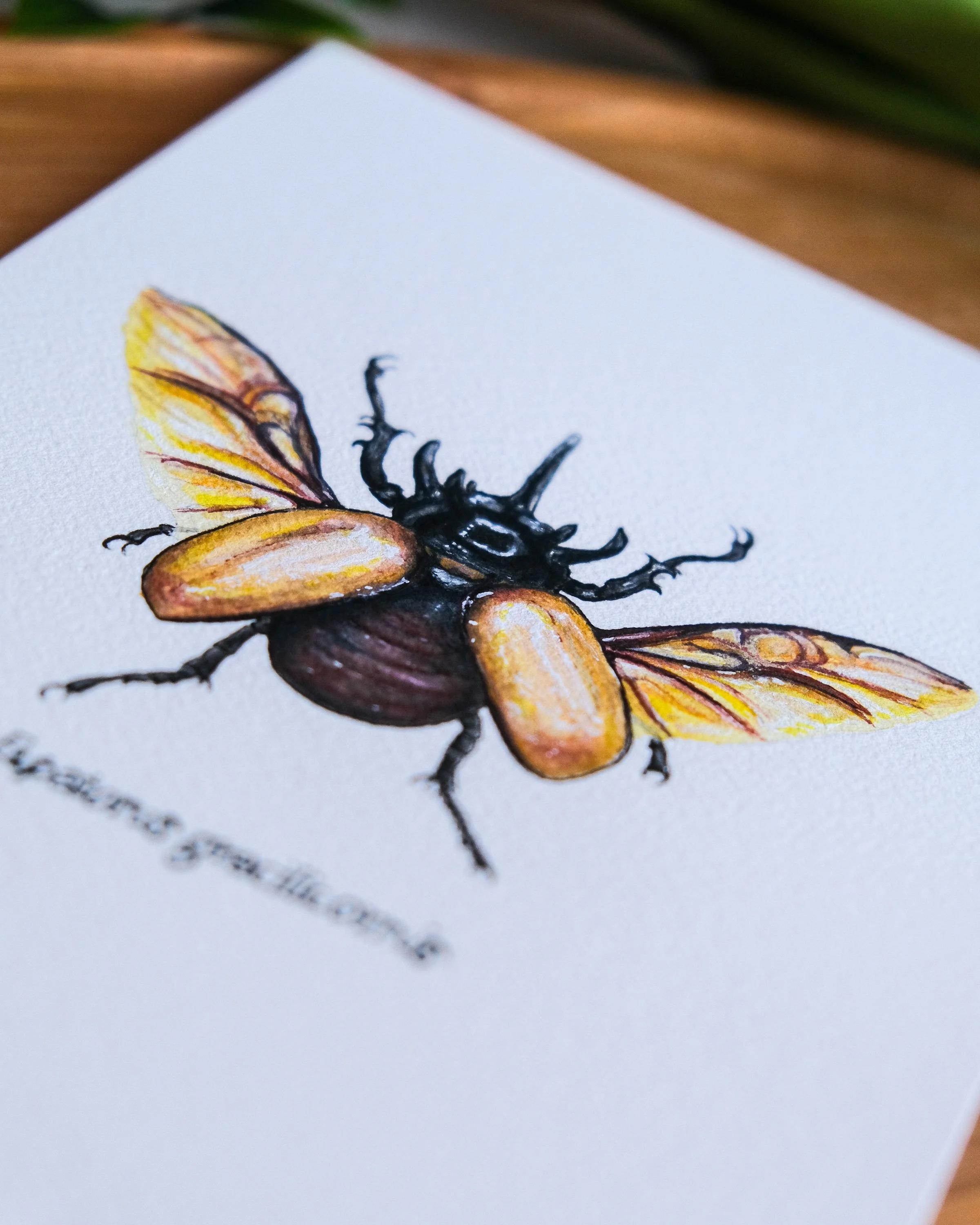 Un dessin coloré d'une abeille avec ses ailes, son corps noir et ses pattes, posé sur une feuille ou un fond blanc.