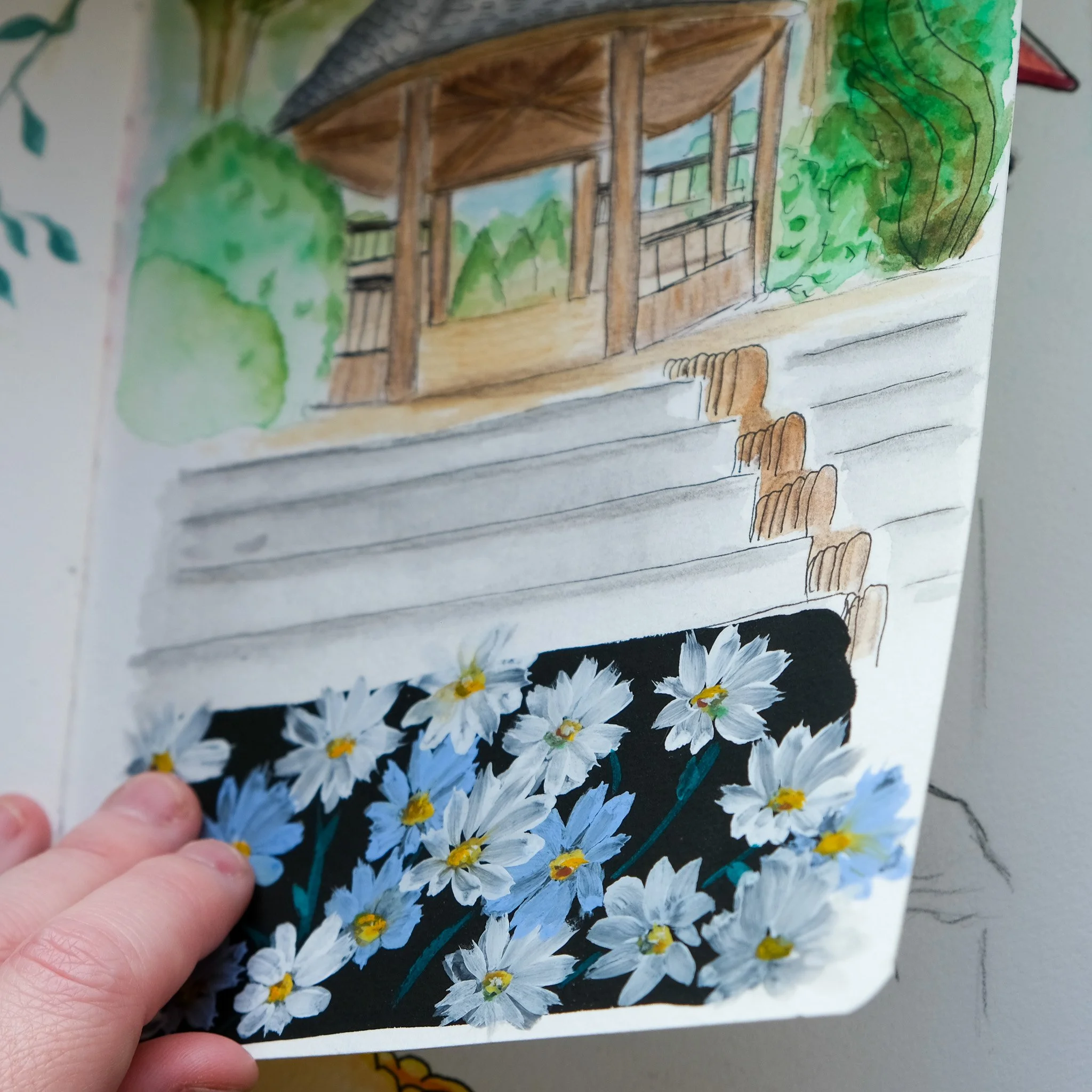 Quelques pages de mes carnets