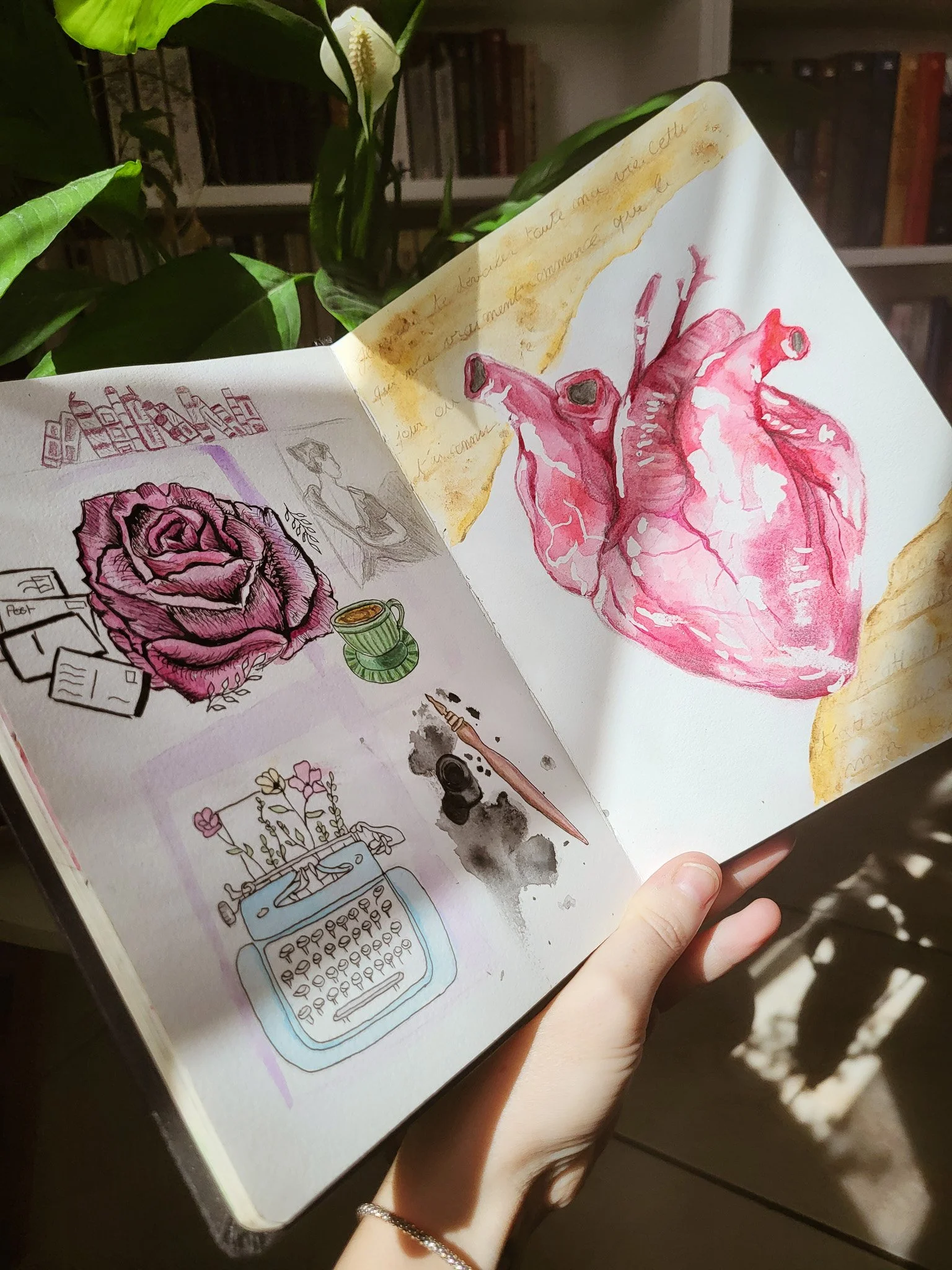 Dessins à l'aquarelle