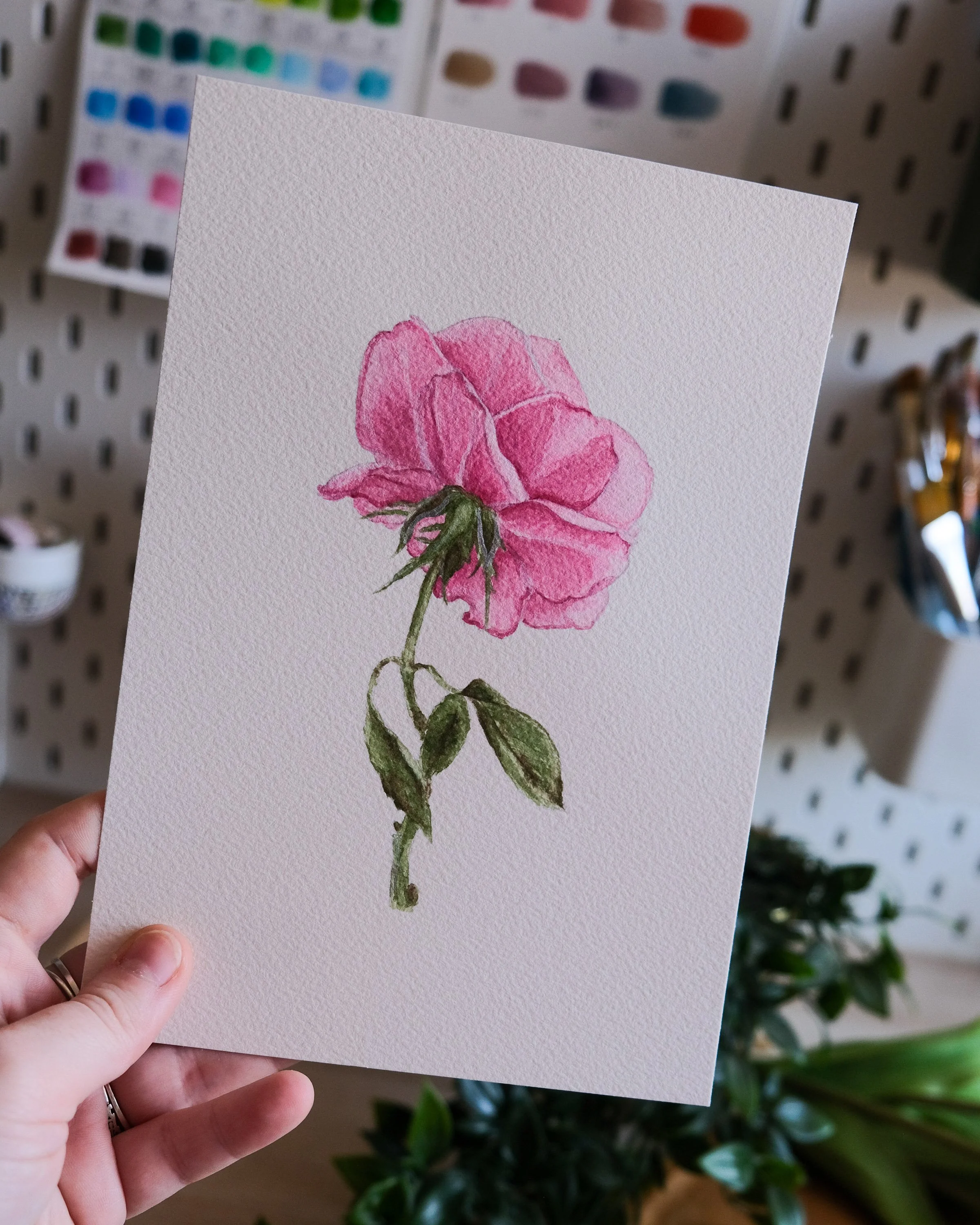 Carte avec peinture d'une rose rose et verte, tenue par une main, en magasin d'artisanat.