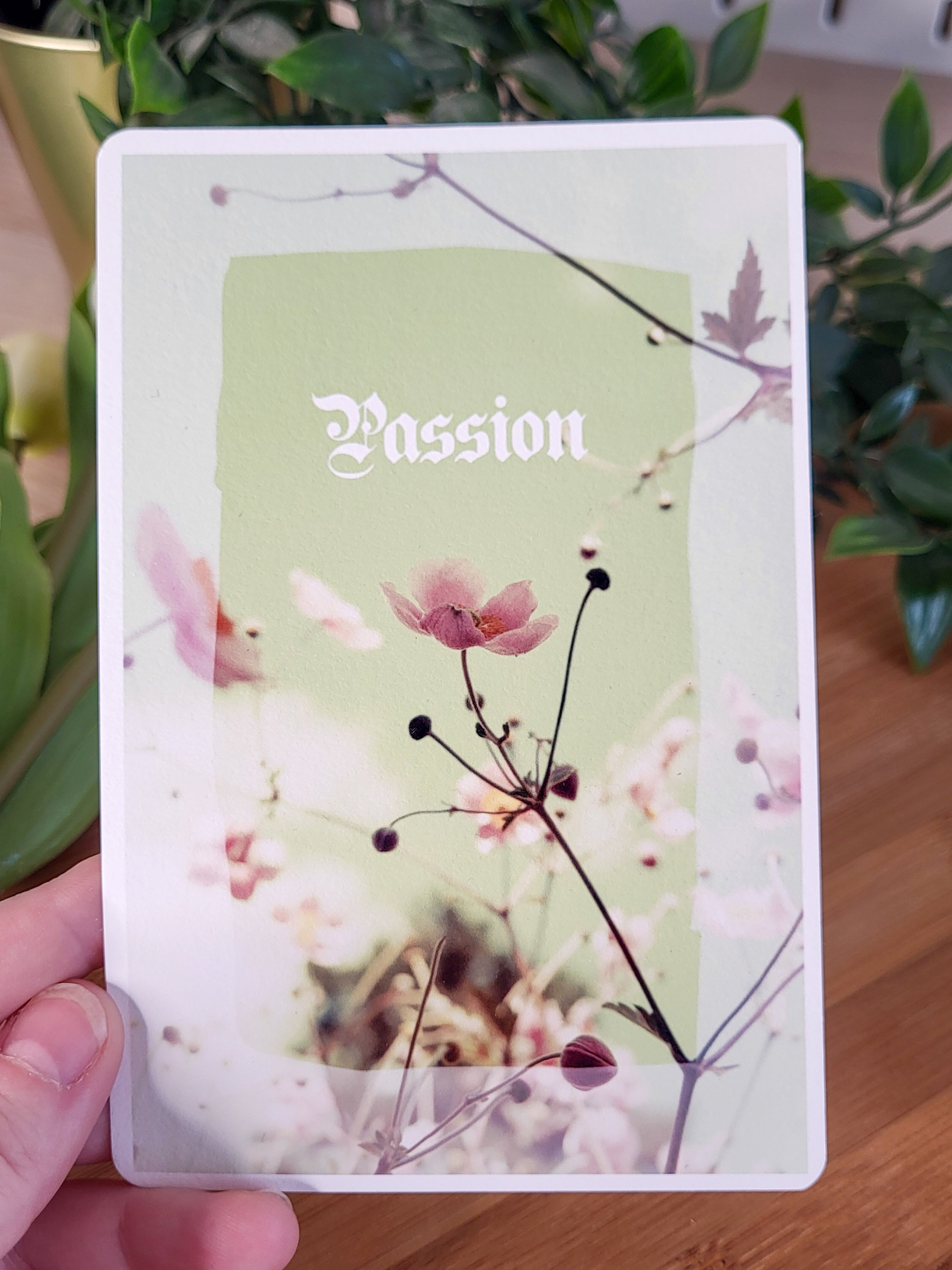 Un plateau avec une plante en premier plan et un fond flou, le mot 'passion' écrit en blanc sur une étiquette verte.