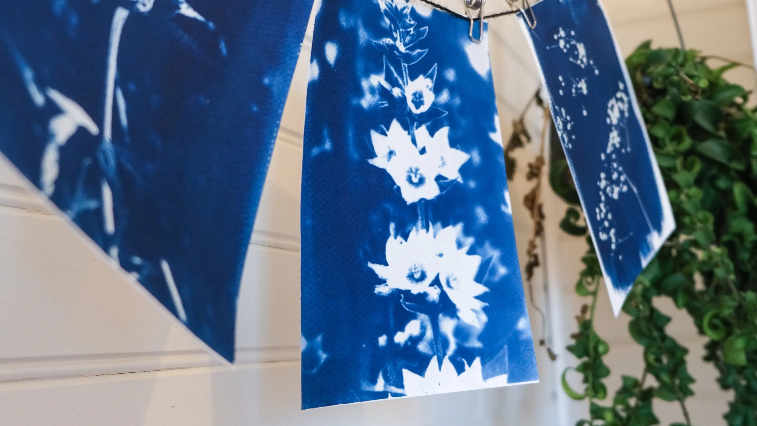 Des banderoles bleues avec des motifs blancs, suspendues avec des pinces, au fond un mur clair et des plantes vertes